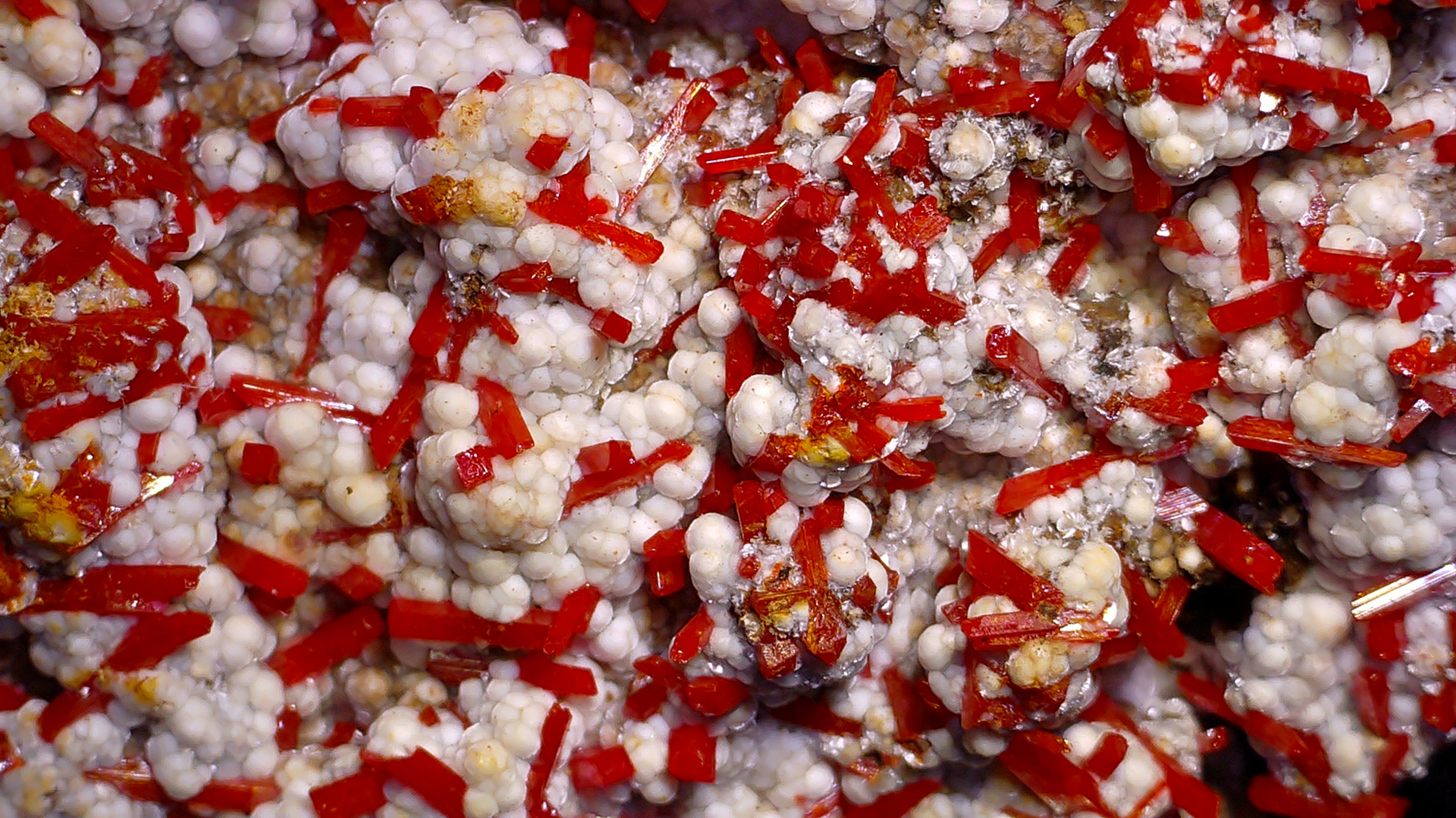 CROCOITE with DUNDASITE (miniature)