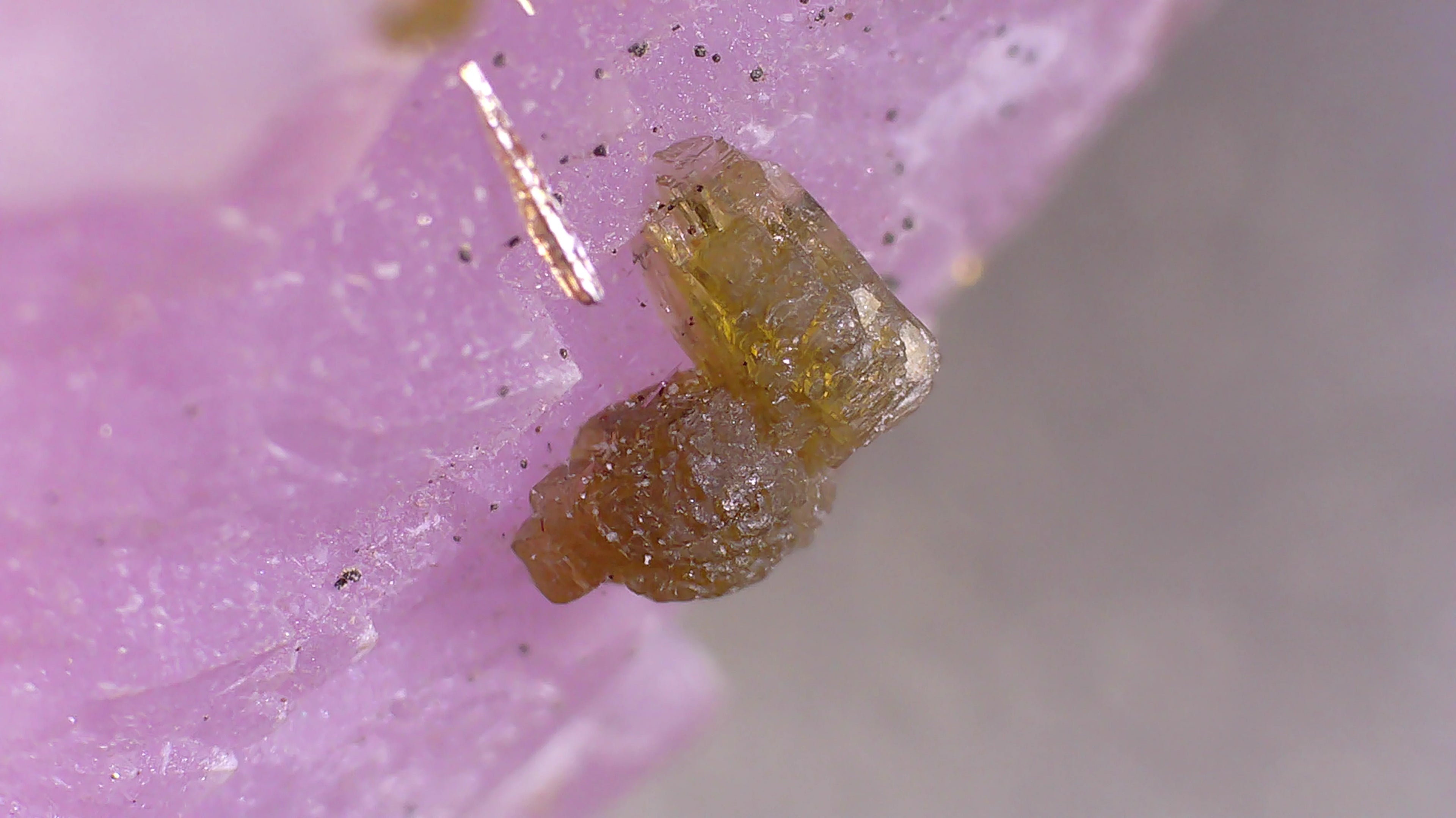 Golden crystal specimen on pink matrix, showcasing natural mineral formation details