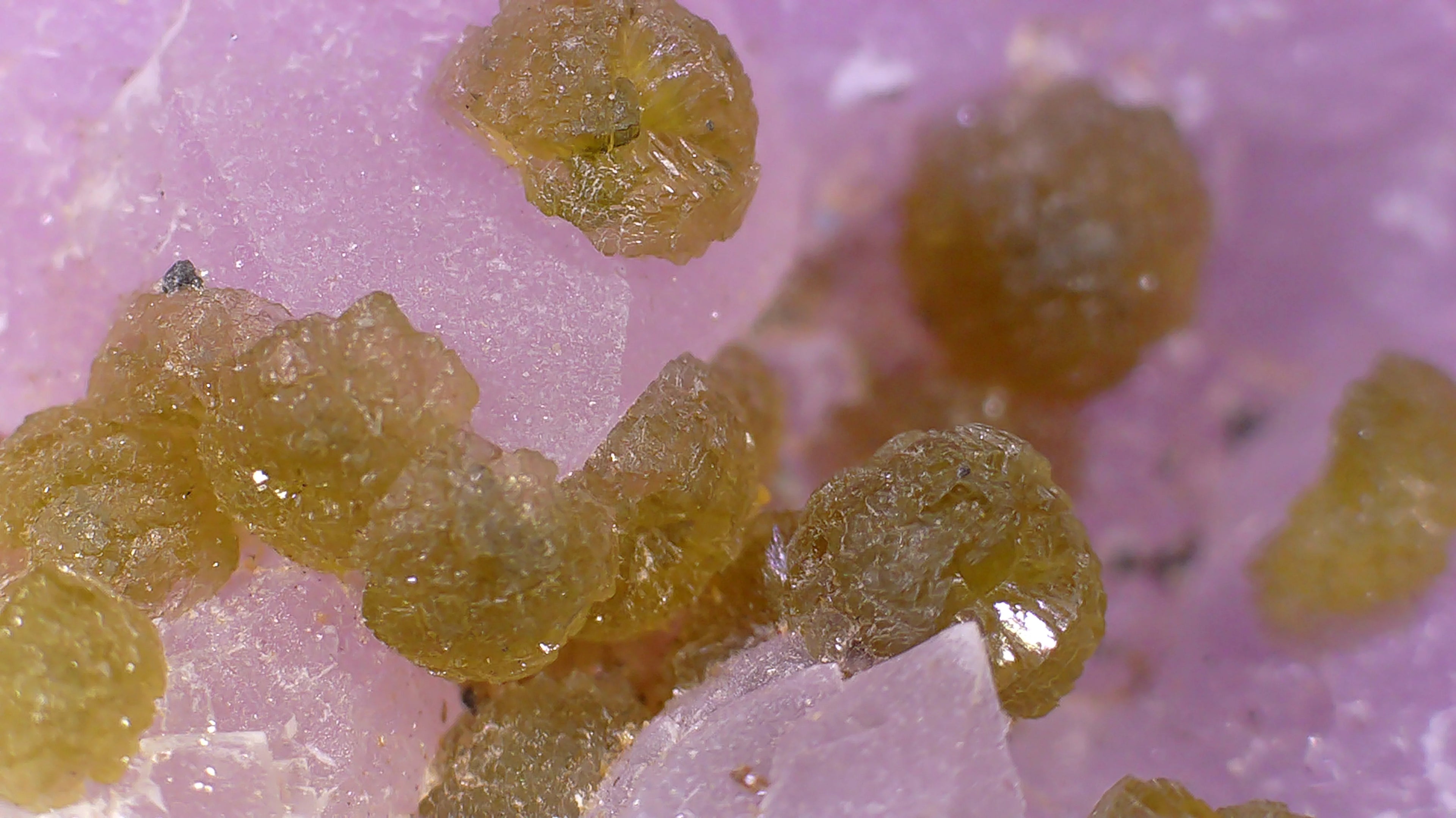Golden crystals on pink matrix, mineral specimen for collectors