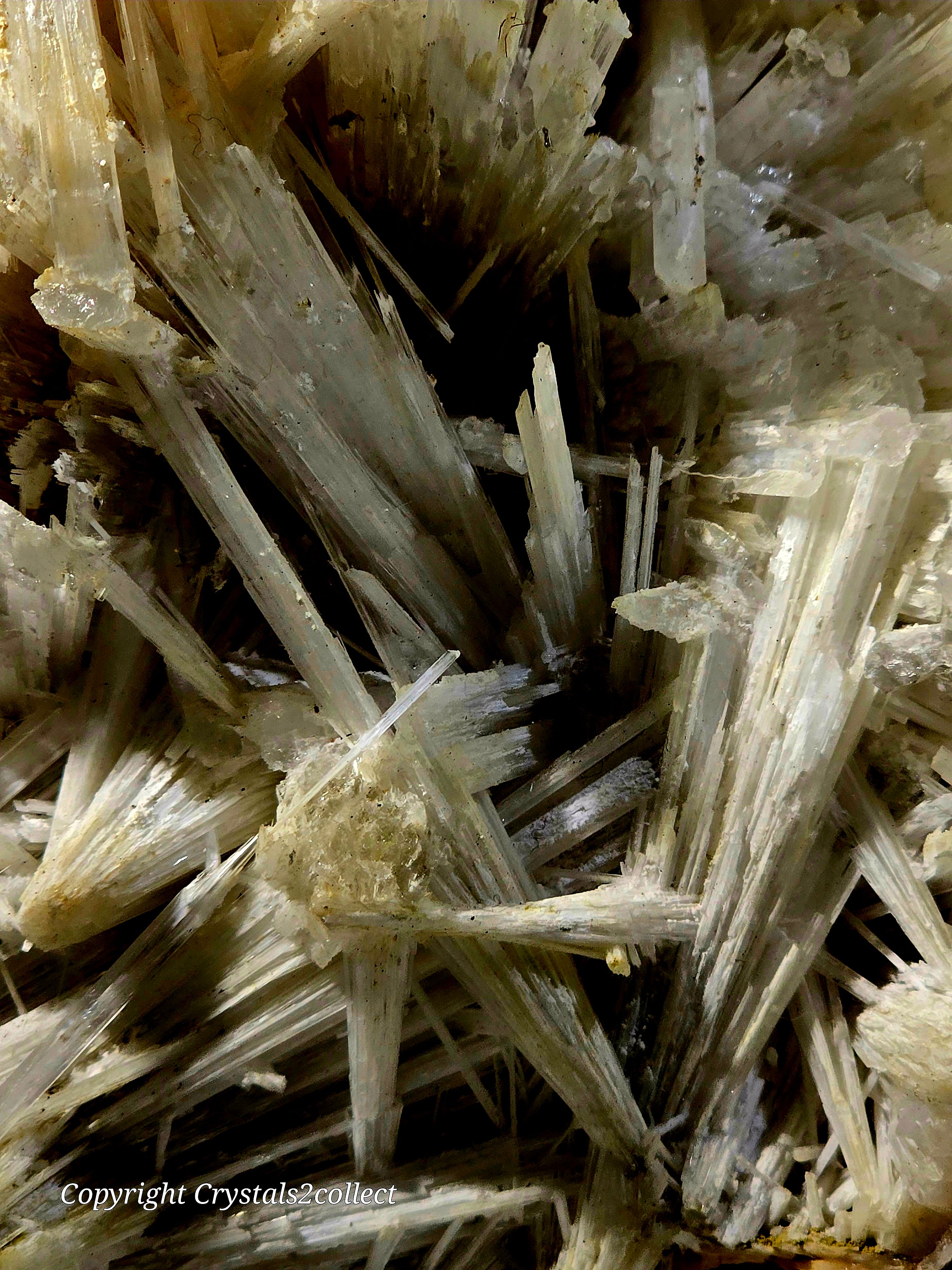 SCOLECITE (very large cabinet)