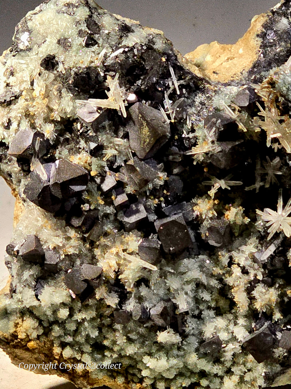 SPHALERITE, GALENA with QUARTZ (cabinet) EXCEPTIONALLY RICH SPECIMEN (cabinet)