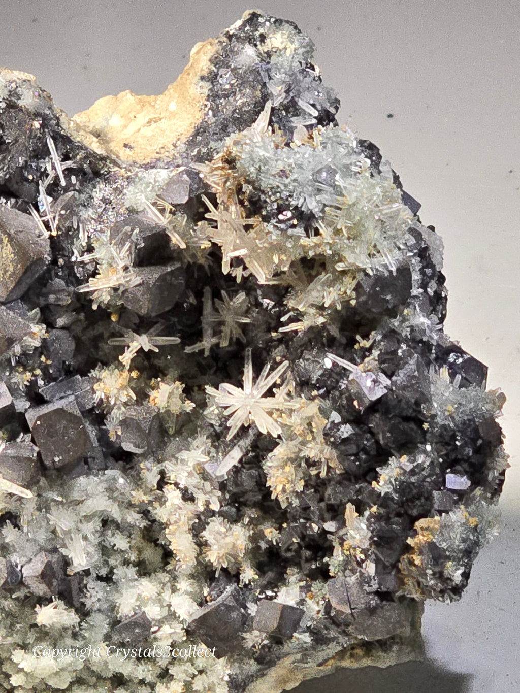 SPHALERITE, GALENA with QUARTZ (cabinet) EXCEPTIONALLY RICH SPECIMEN (cabinet)