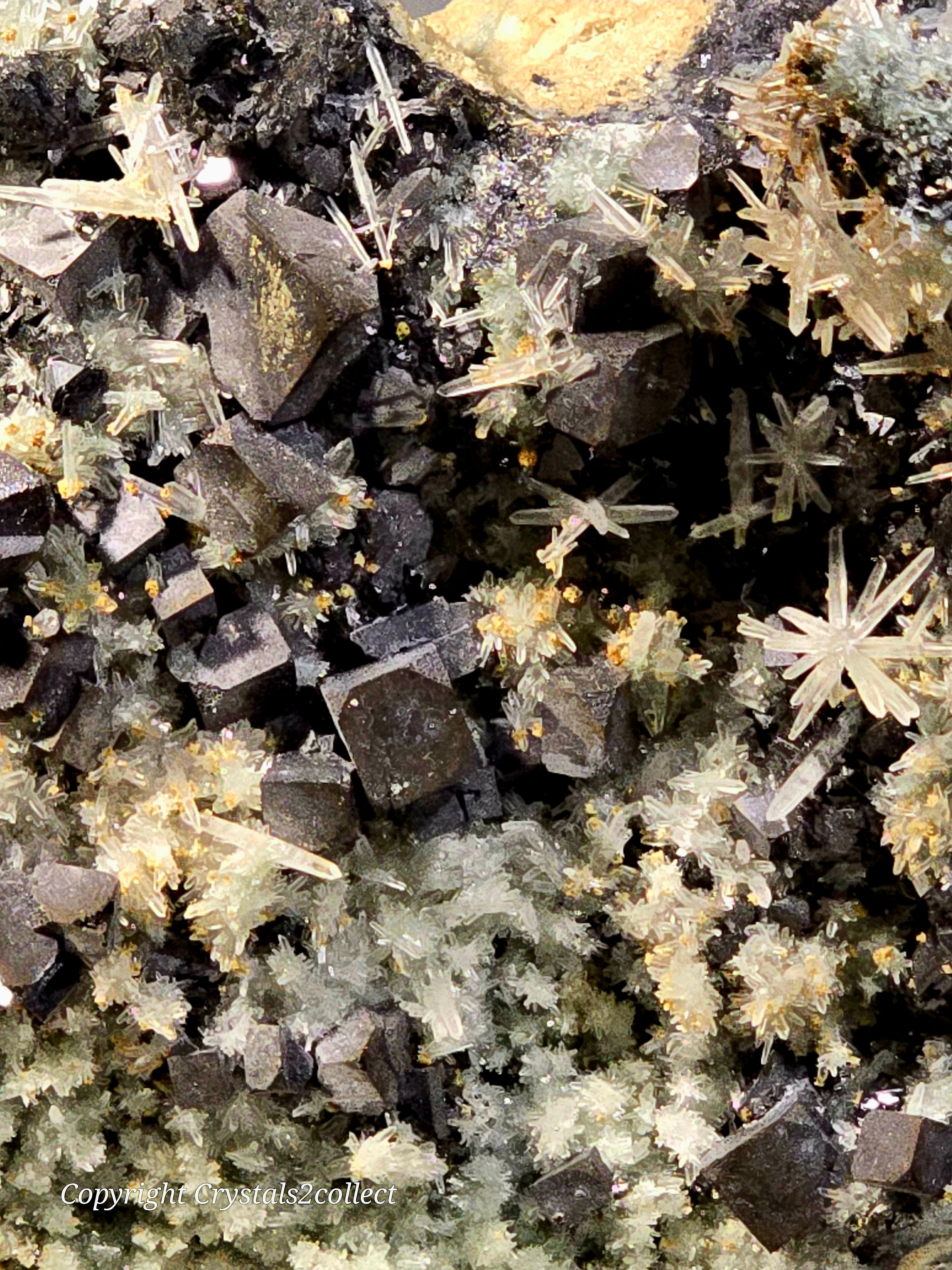 SPHALERITE, GALENA with QUARTZ (cabinet) EXCEPTIONALLY RICH SPECIMEN (cabinet)