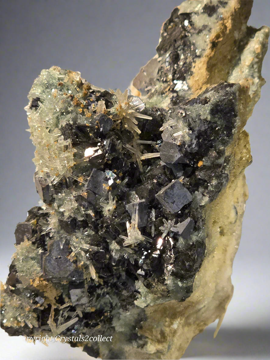 SPHALERITE, GALENA with QUARTZ (cabinet) EXCEPTIONALLY RICH SPECIMEN (cabinet)
