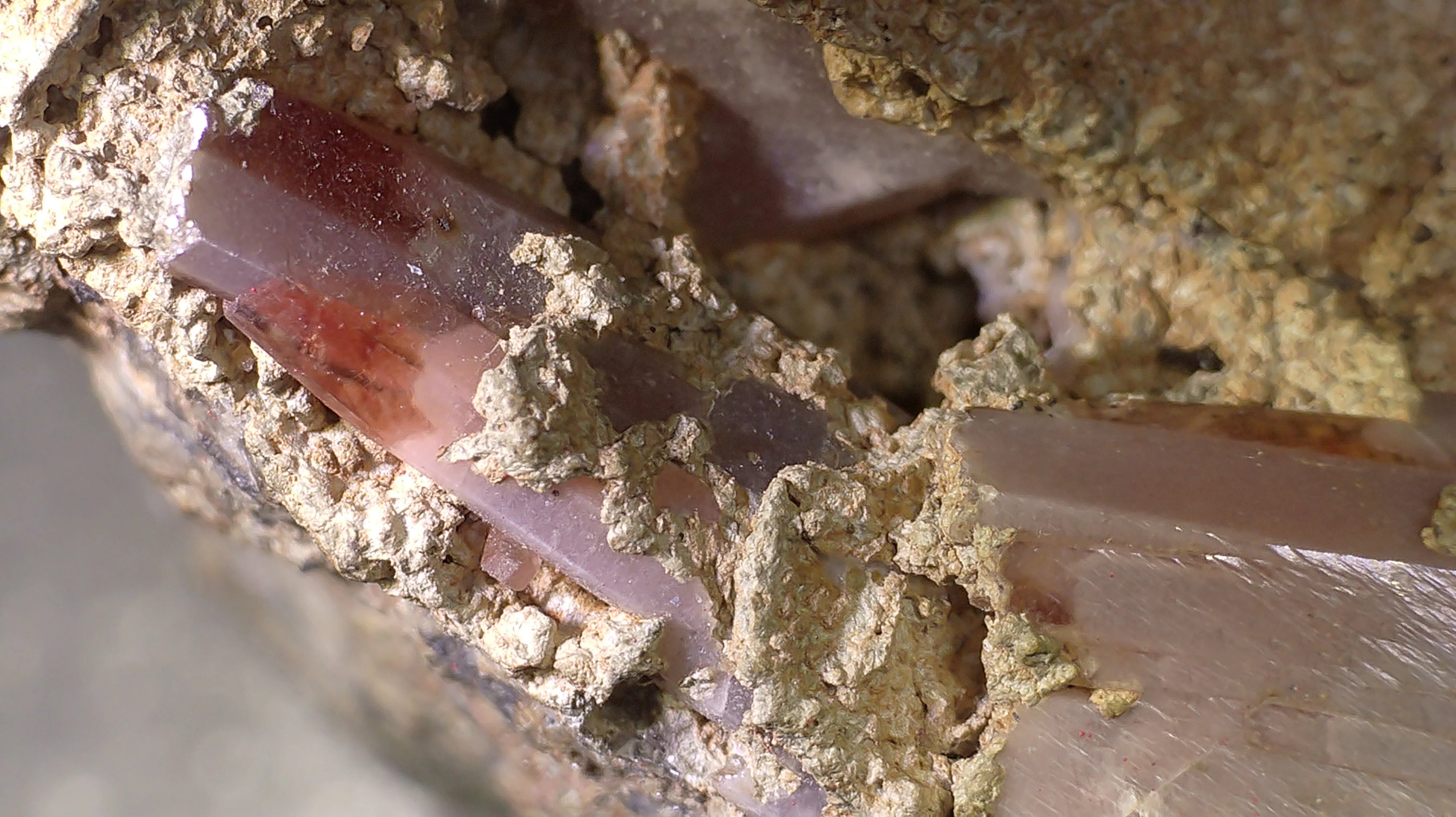 Eudialyte crystal specimen with rich red-brown color, embedded in matrix, showcasing natural mineral formation