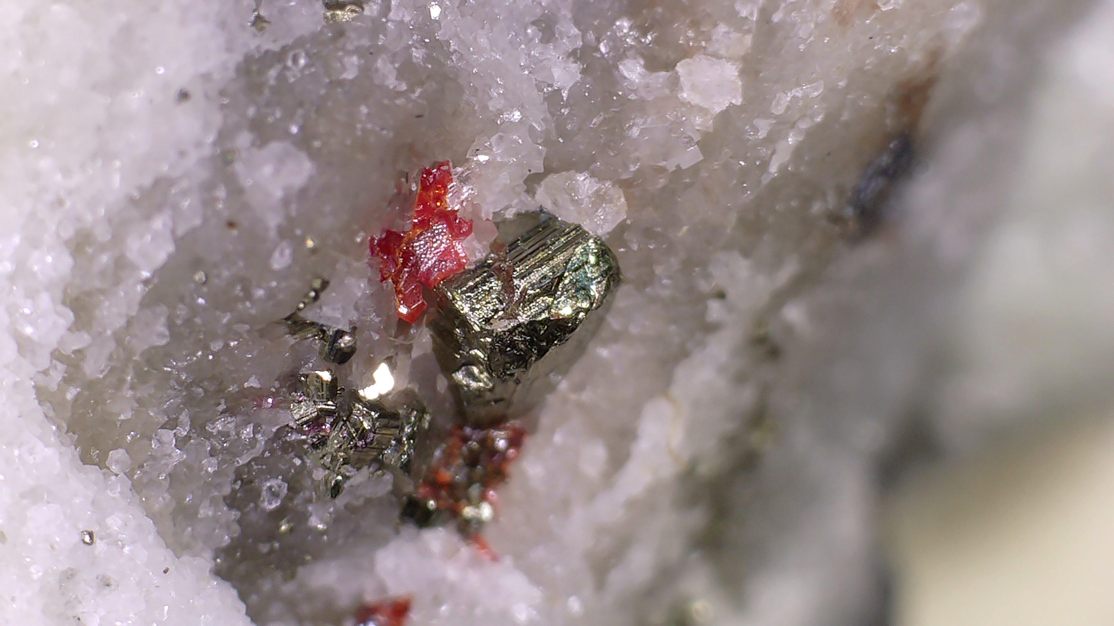 HUTCHINSONITE (brown in the front), REALGAR, SULFO and others (micro and miniature)