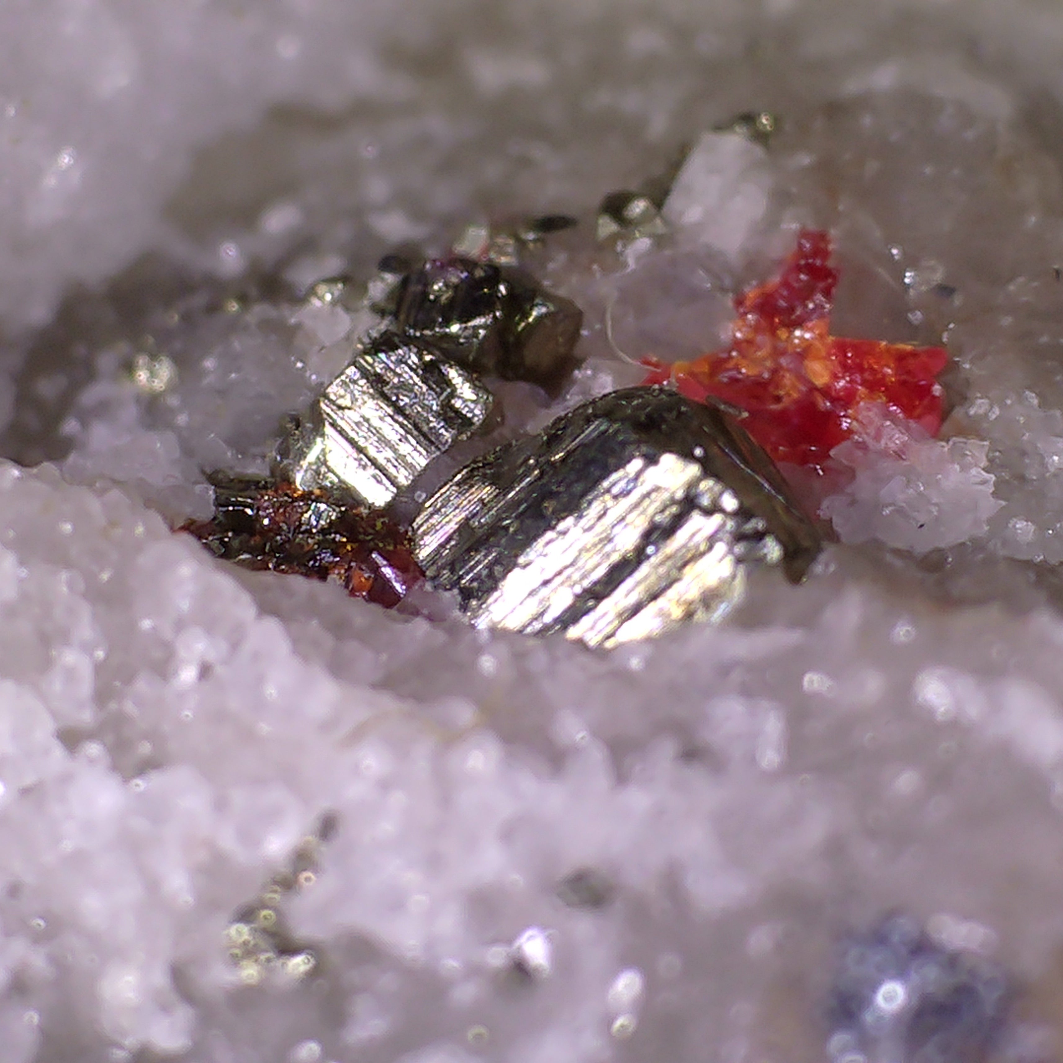 HUTCHINSONITE (brown in the front), REALGAR, SULFO and others (micro and miniature)