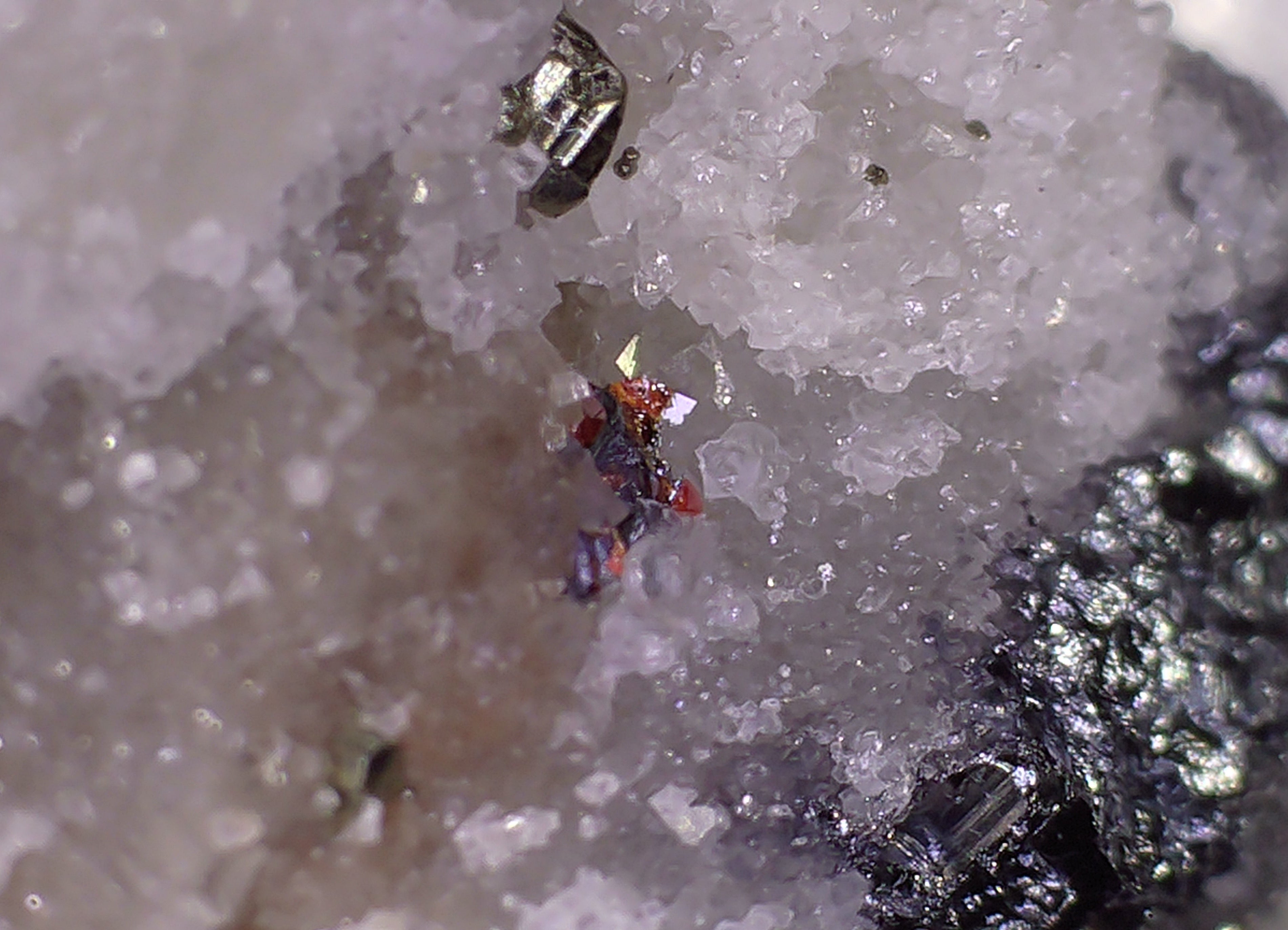 HUTCHINSONITE (brown in the front), REALGAR, SULFO and others (micro and miniature)