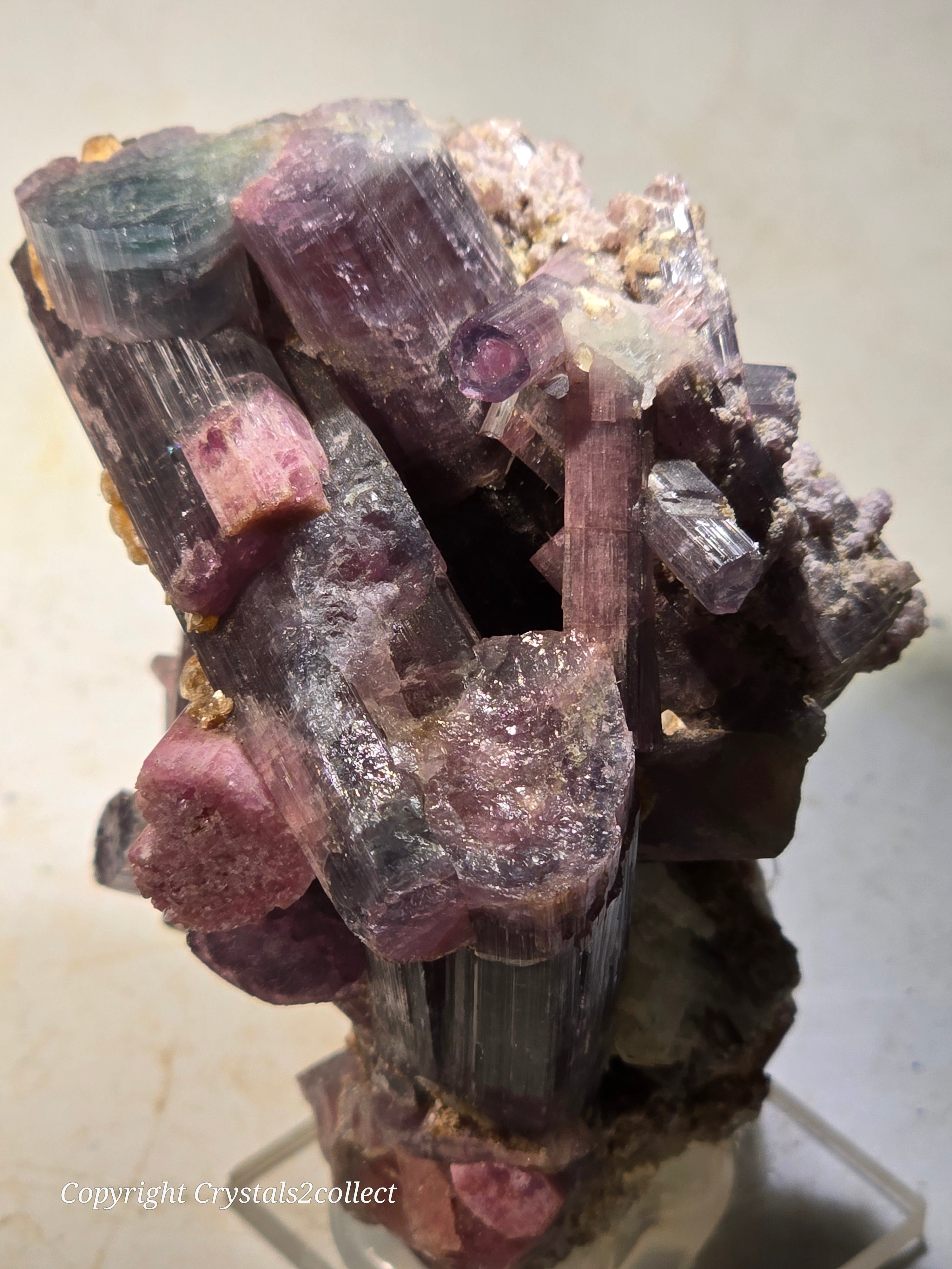 TOURMALINE avec MUSCOVITE (bicolore), district de Paprok Kamdesh, province de Nuristan, Afghanistan (petit cabinet)