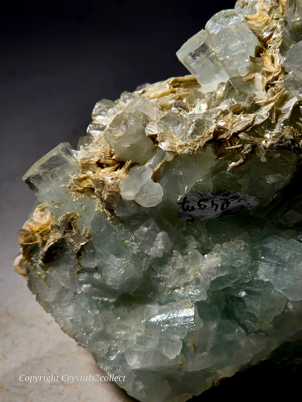 AQUAMARINE (BERYL) ON QUARTZ and MUSCOVITE (cabinet)