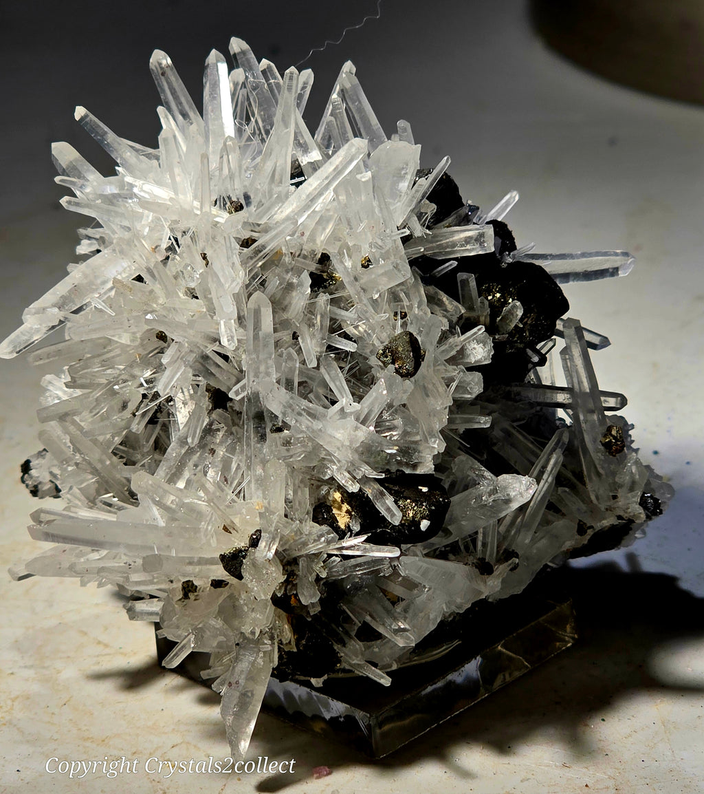 SPHALERITE, GALENA with QUARTZ (small cabinet)