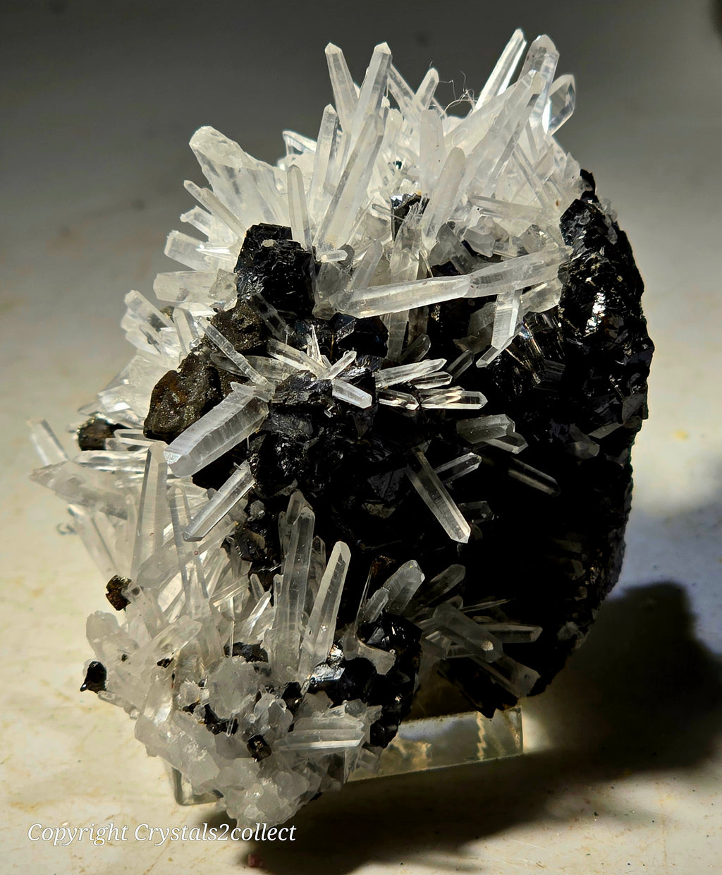 SPHALERITE, GALENA with QUARTZ (small cabinet)