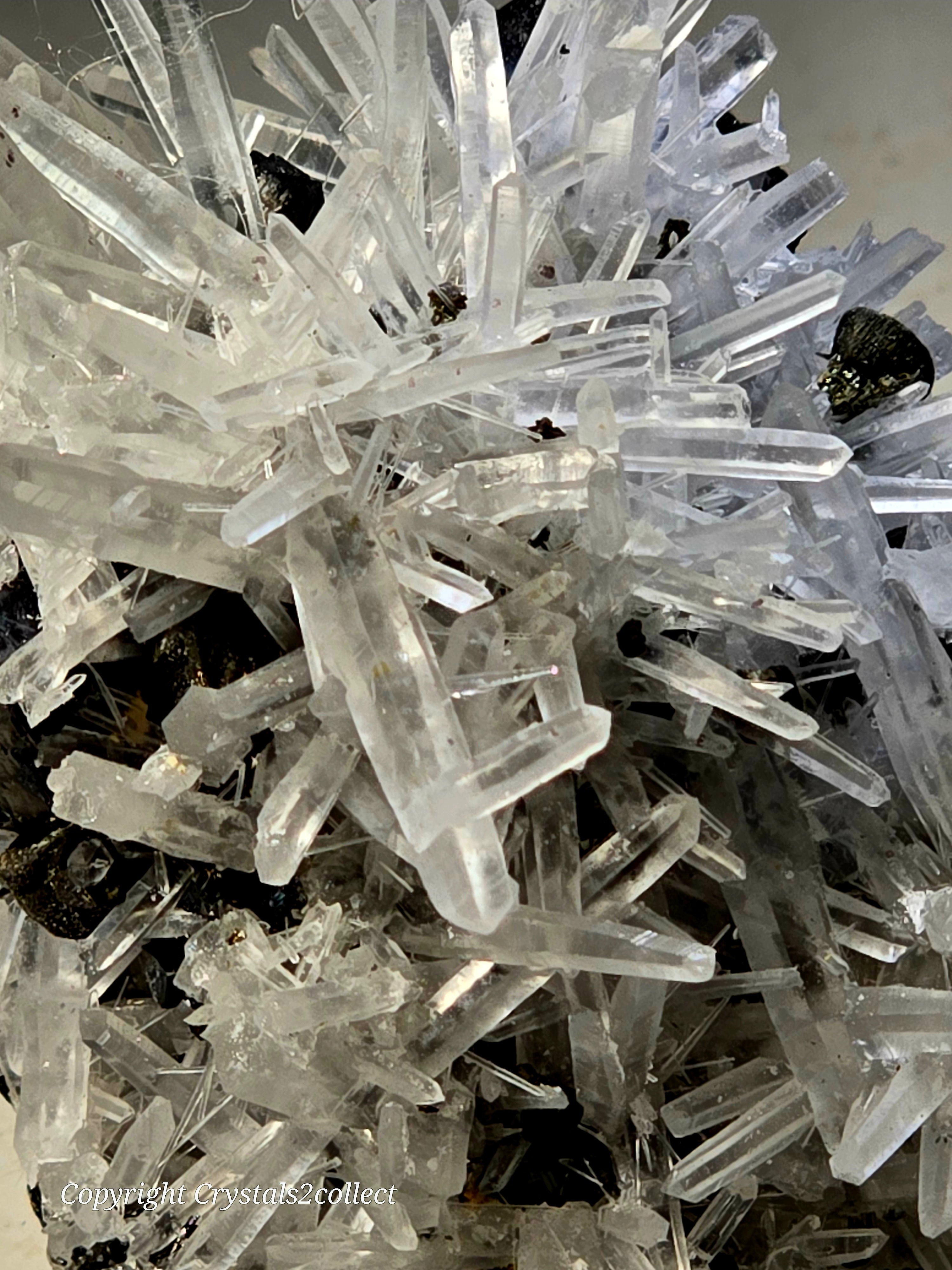 SPHALERITE, GALENA with QUARTZ (small cabinet)