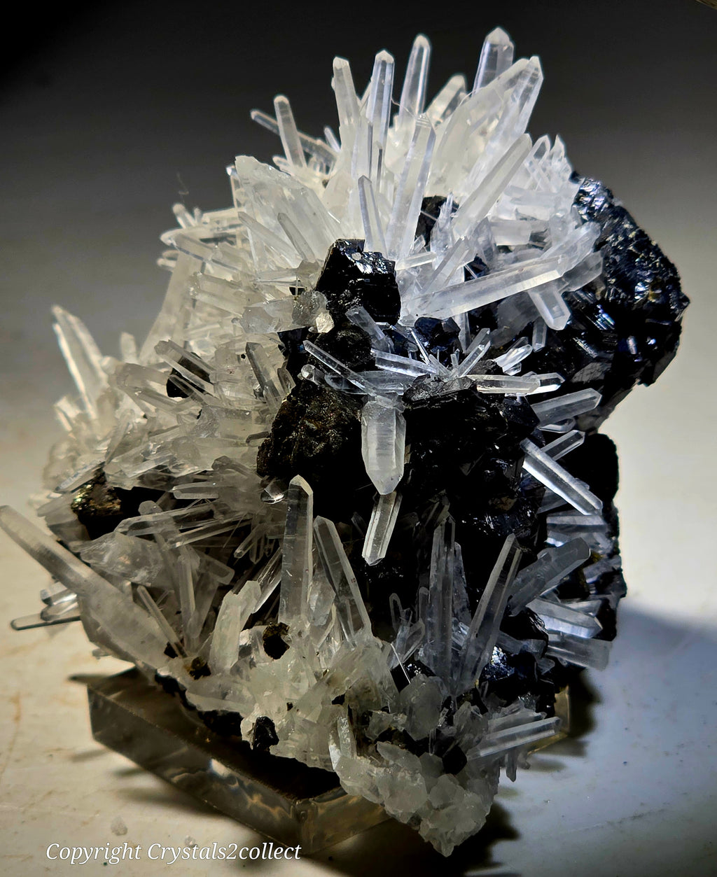 SPHALERITE, GALENA with QUARTZ (small cabinet)