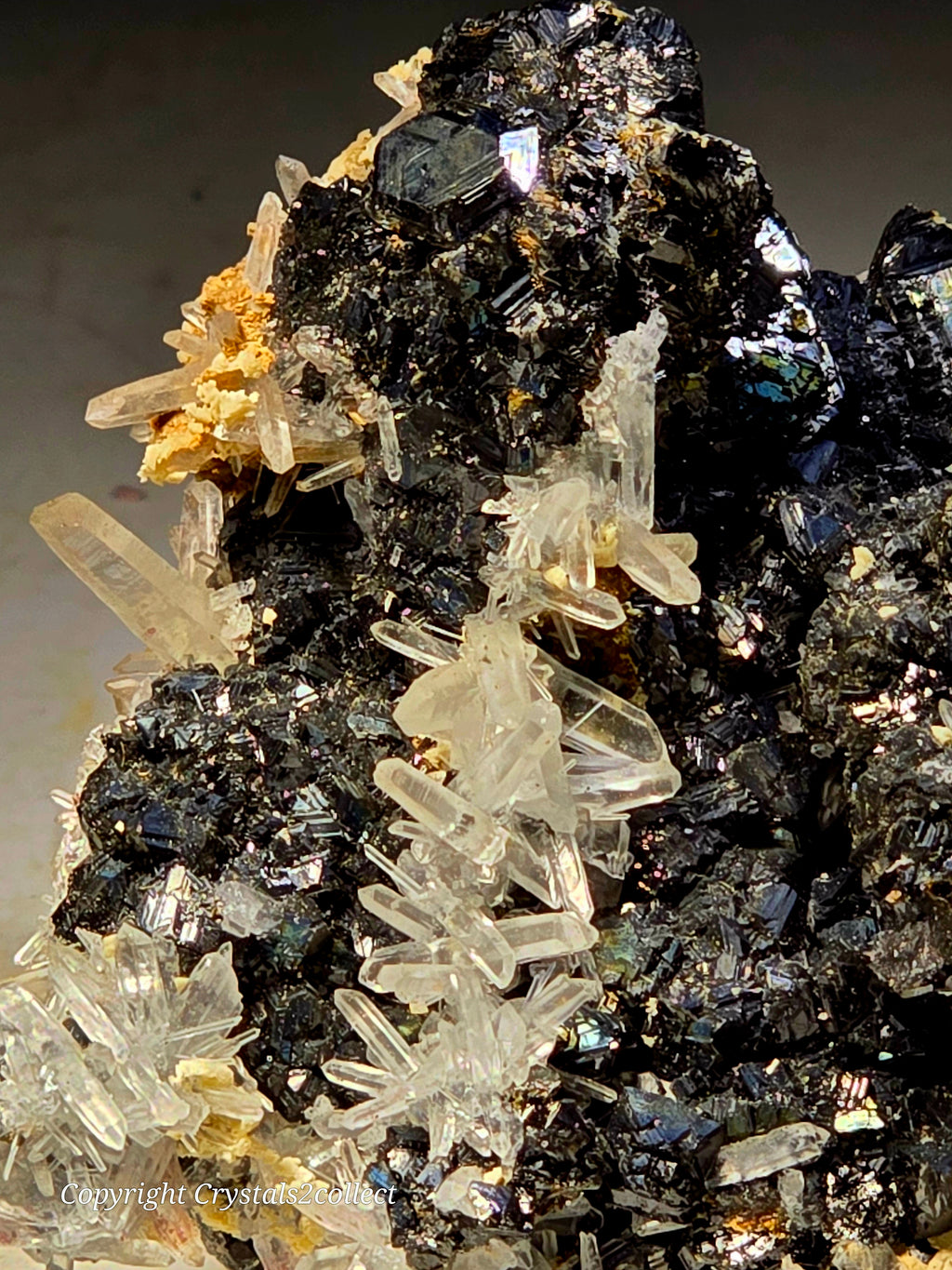 SPHALERITE with QUARTZ (small cabinet)