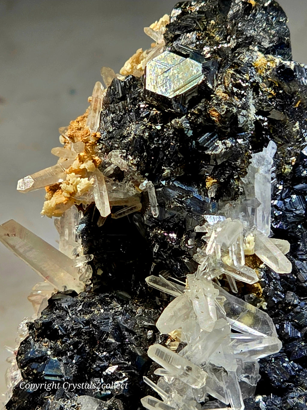 SPHALERITE with QUARTZ (small cabinet)
