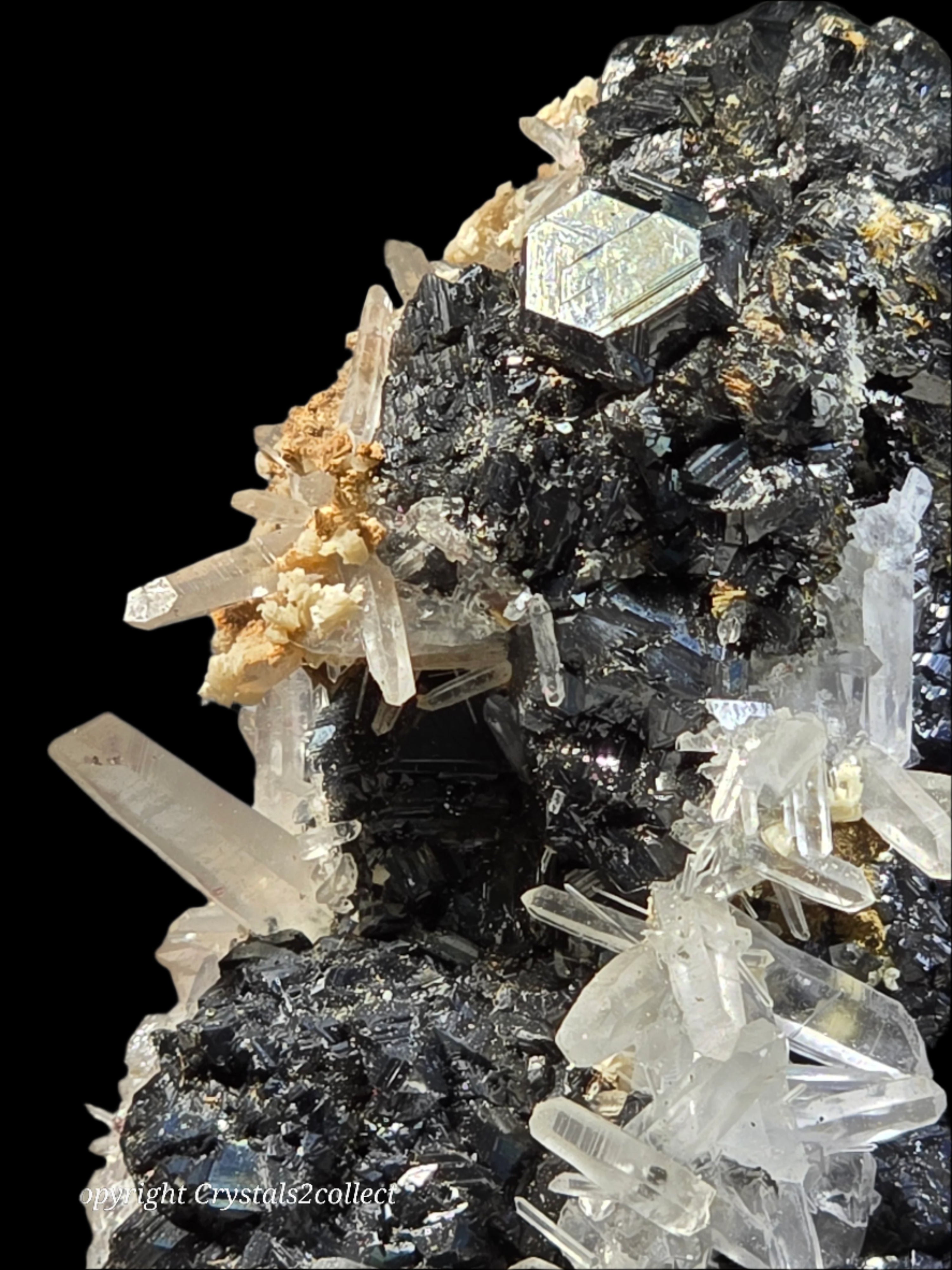 SPHALERITE with QUARTZ (small cabinet)