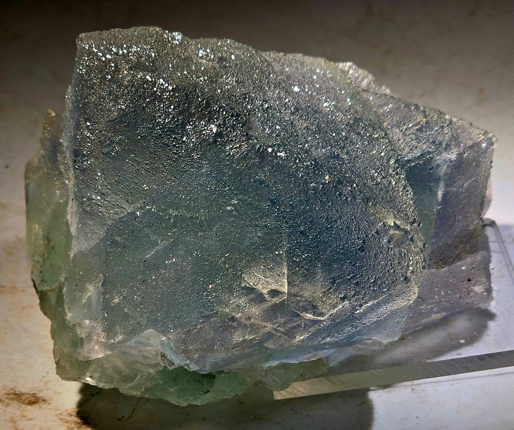 FLUORITE "FROSTED" BLUE (small cabinet)