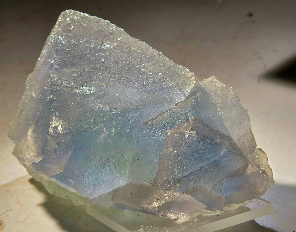 FLUORITE "FROSTED" BLUE (small cabinet)