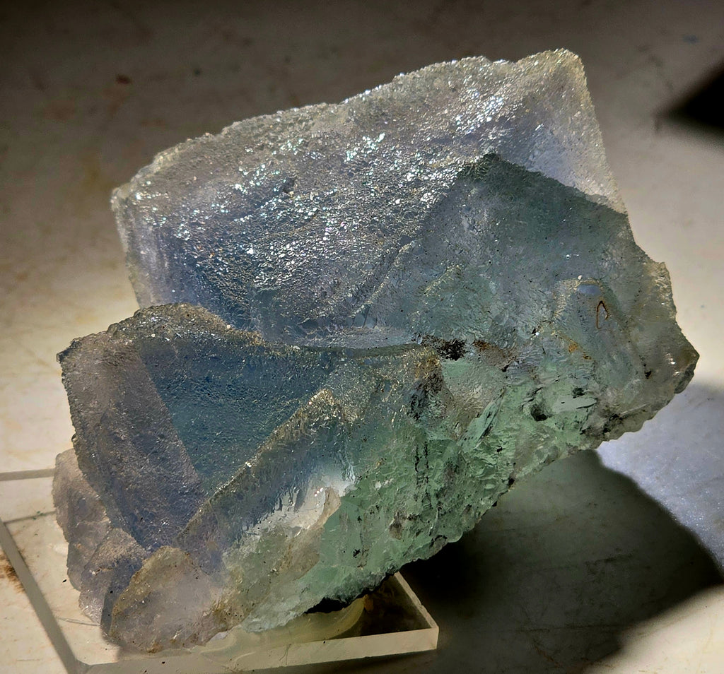 FLUORITE "FROSTED" BLUE (small cabinet)