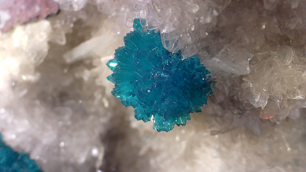 CAVANSITE with STILBITE (small cabinet)