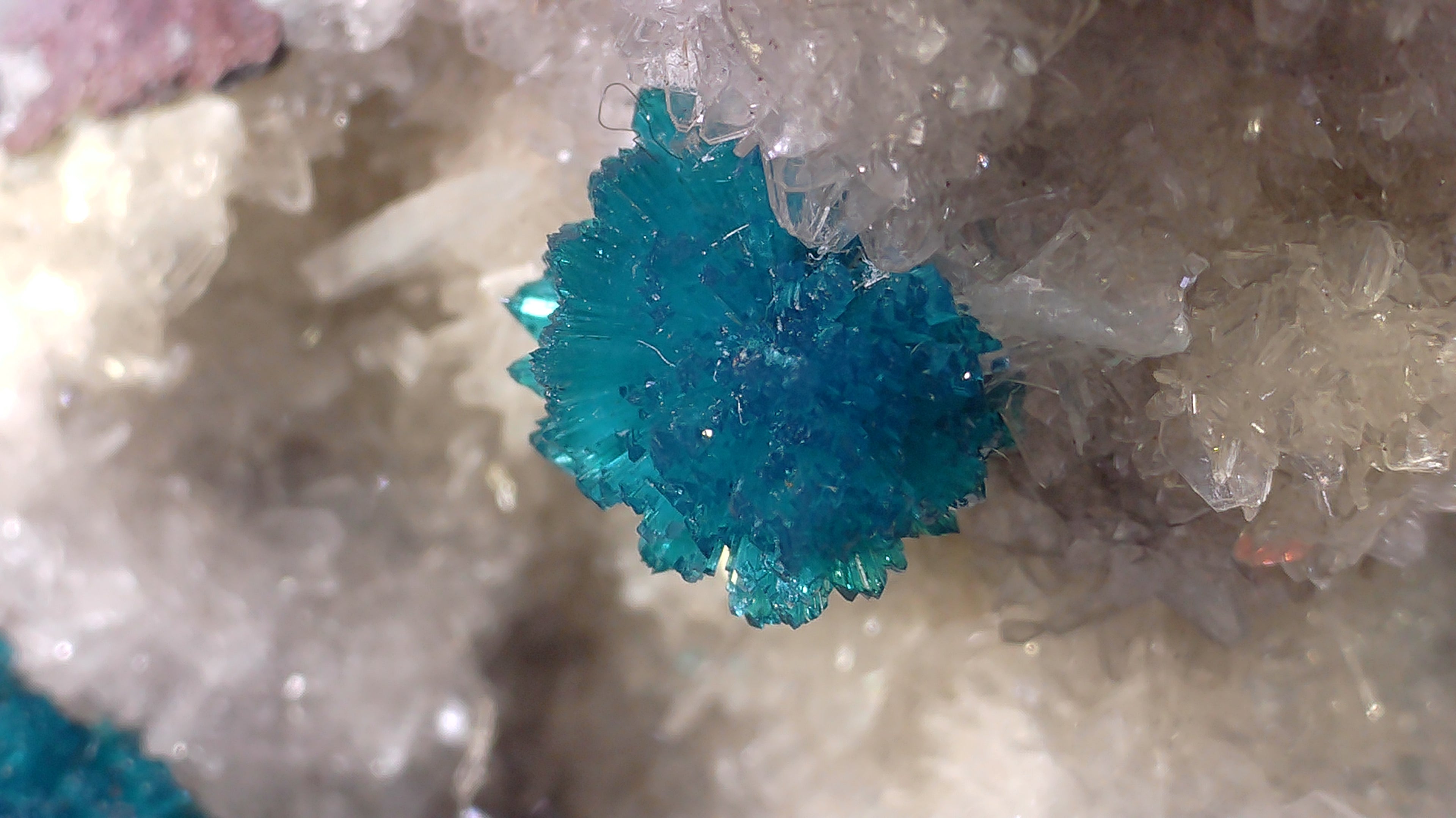 CAVANSITE with STILBITE (small cabinet)