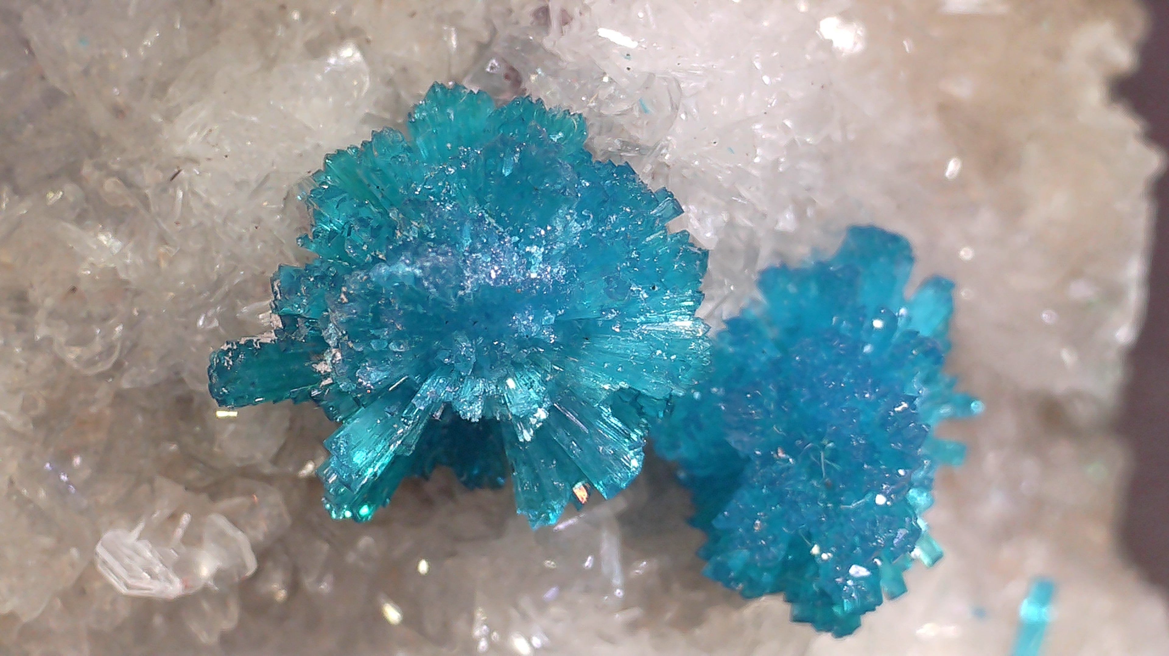 CAVANSITE with STILBITE (small cabinet)