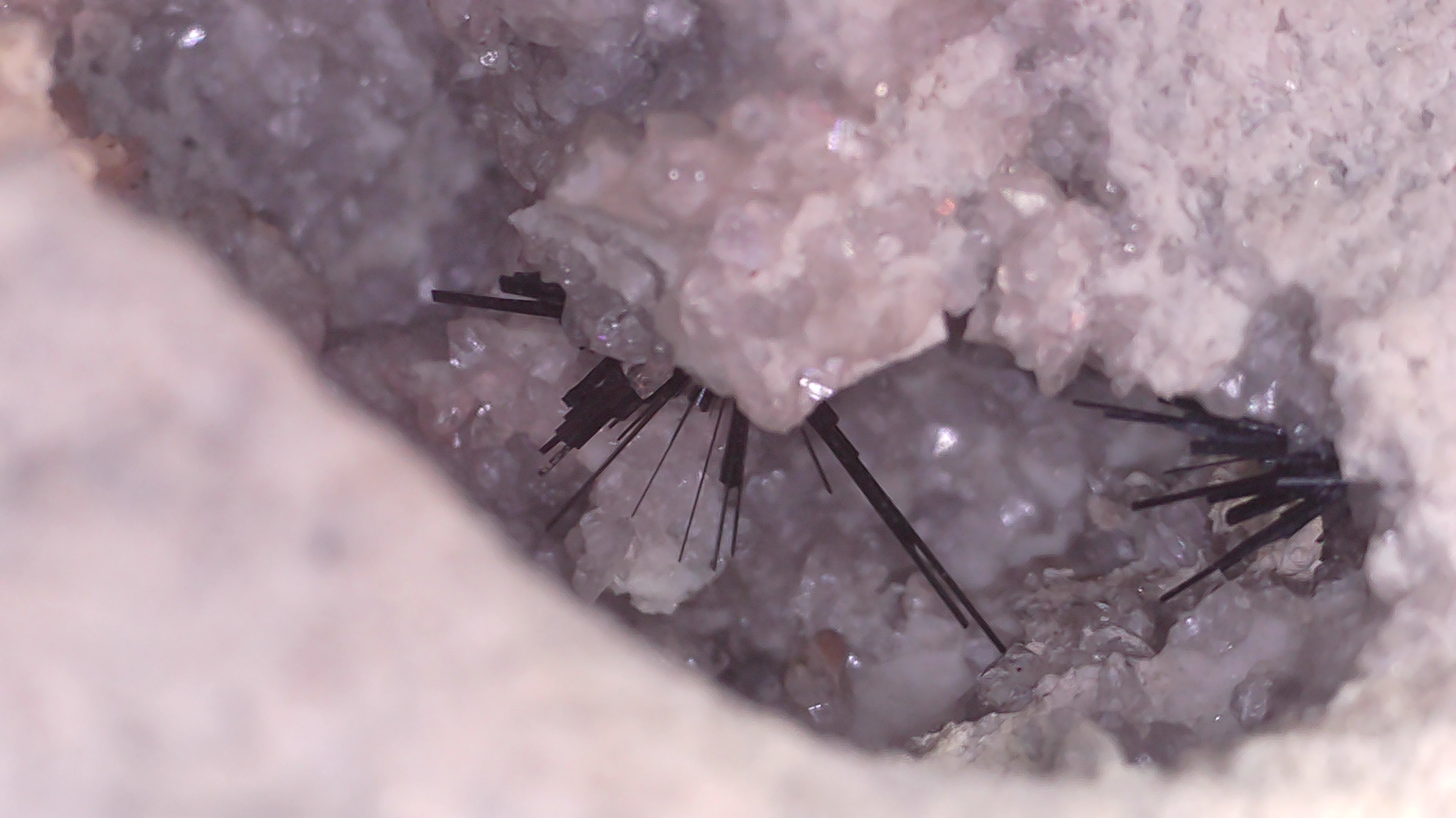 Pseudobrookite, chaîne de montagnes Thomas, comté de Juab, Utah, États-Unis (petite armoire). Consultez les photos au microscope.