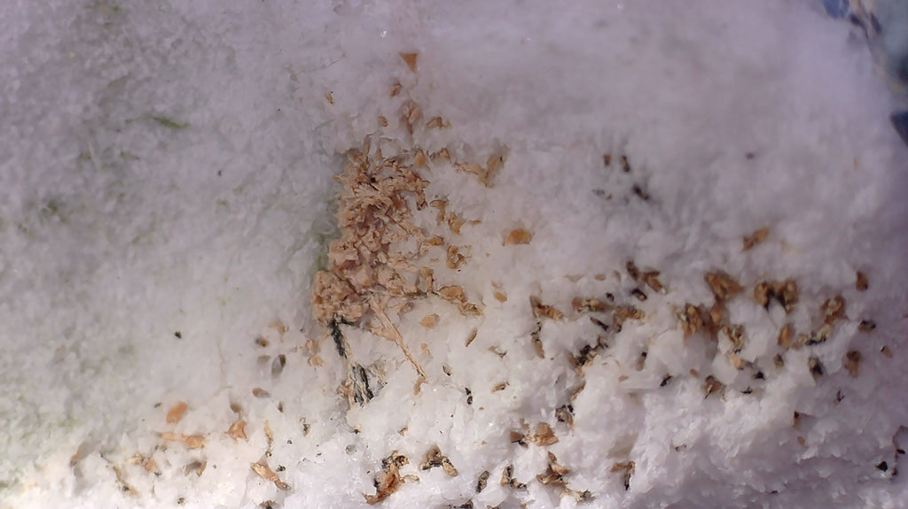 BENITOITE, NEPTUNITE, JOAQUINITE, JONESITE (?) ON NATROLITE with SERPENTINE