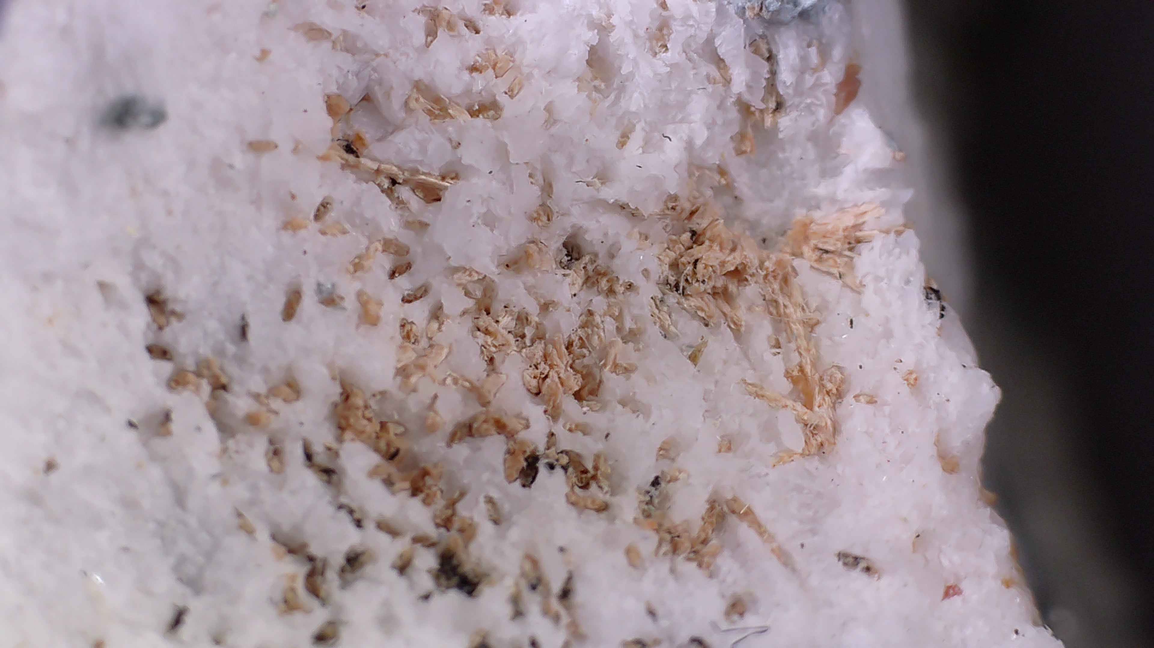 BENITOITE, NEPTUNITE, JOAQUINITE, JONESITE (?) ON NATROLITE with SERPENTINE