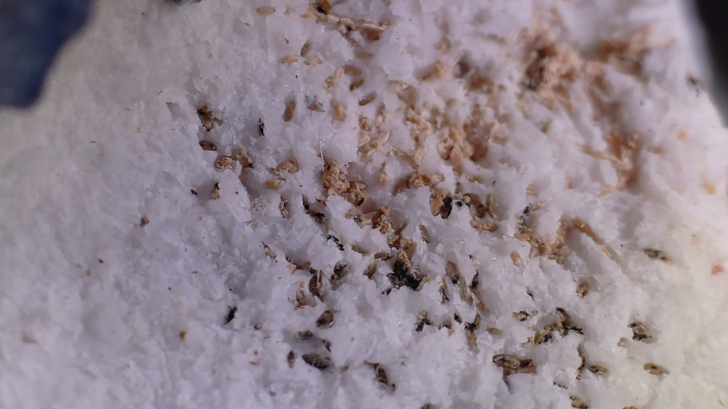 BENITOITE, NEPTUNITE, JOAQUINITE, JONESITE (?) ON NATROLITE with SERPENTINE