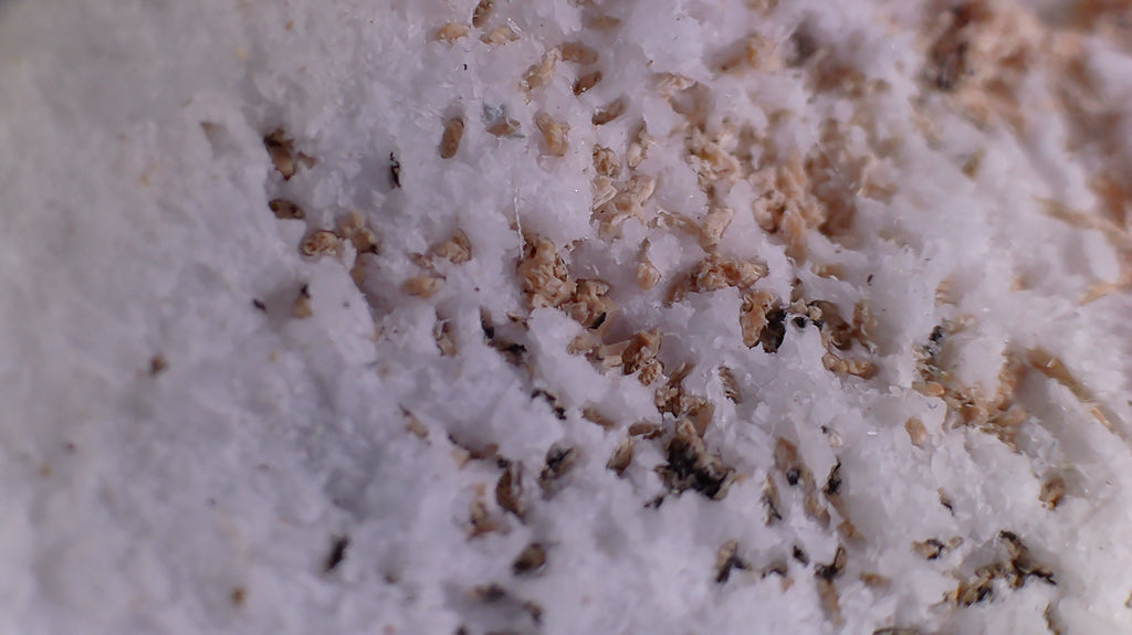 BENITOITE, NEPTUNITE, JOAQUINITE, JONESITE (?) ON NATROLITE with SERPENTINE