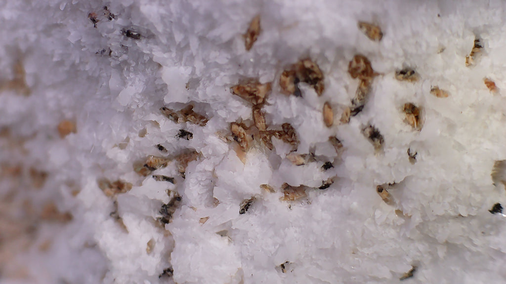 BENITOITE, NEPTUNITE, JOAQUINITE, JONESITE (?) ON NATROLITE with SERPENTINE