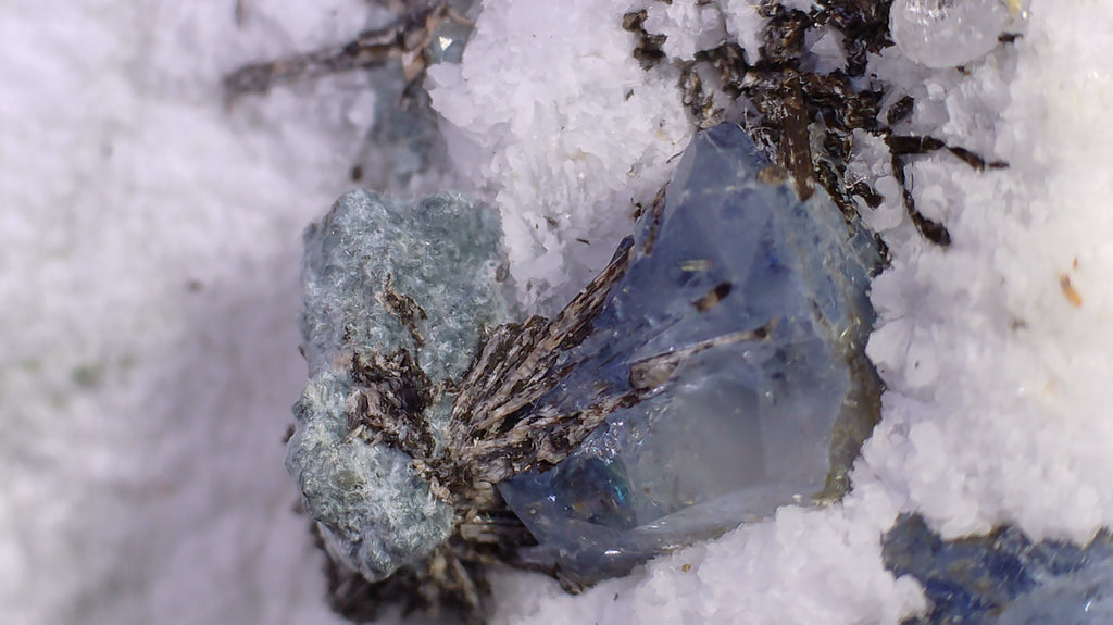 BENITOITE, NEPTUNITE, JOAQUINITE, JONESITE (?) ON NATROLITE with SERPENTINE