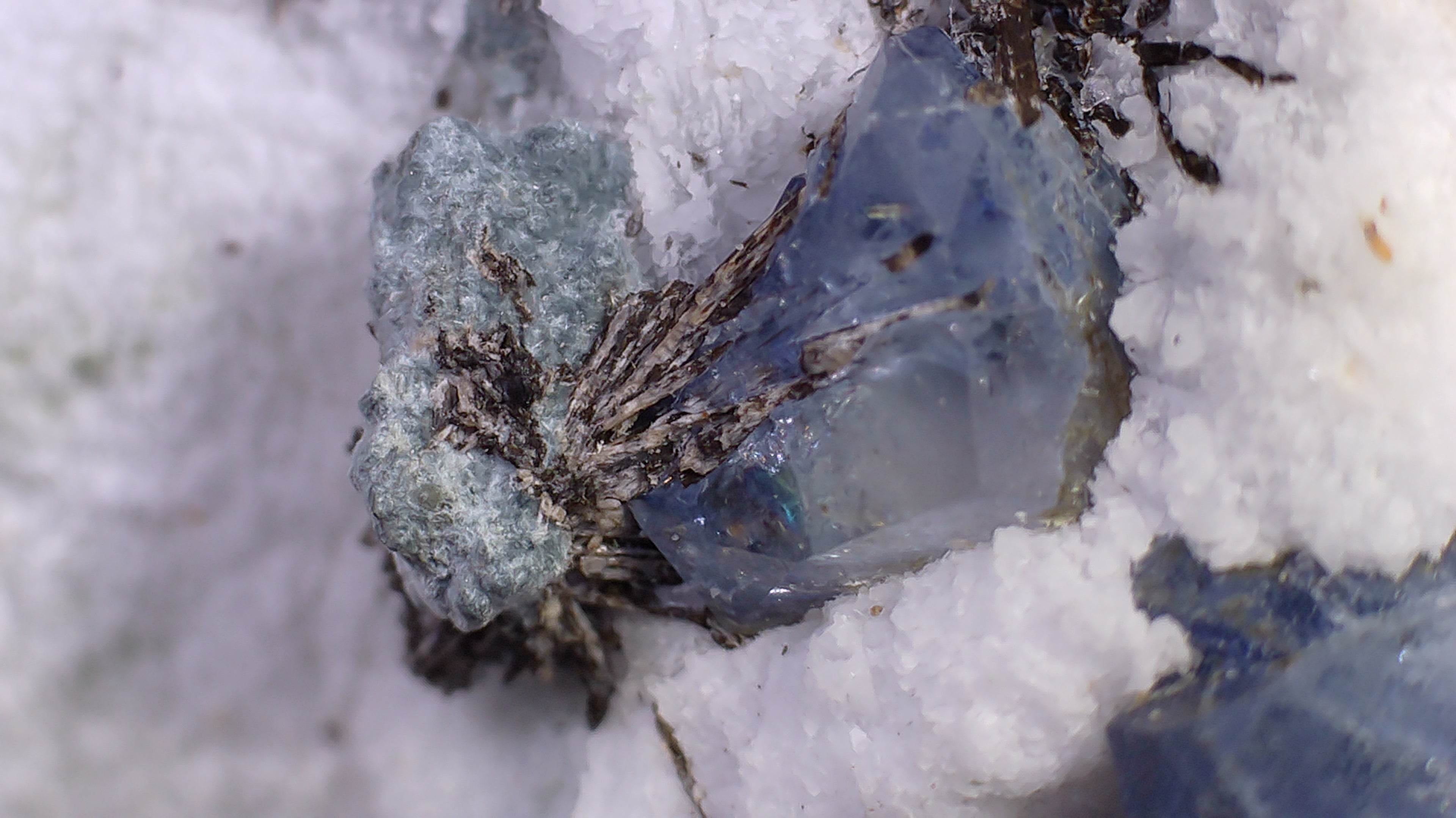 BENITOITE, NEPTUNITE, JOAQUINITE, JONESITE (?) ON NATROLITE with SERPENTINE