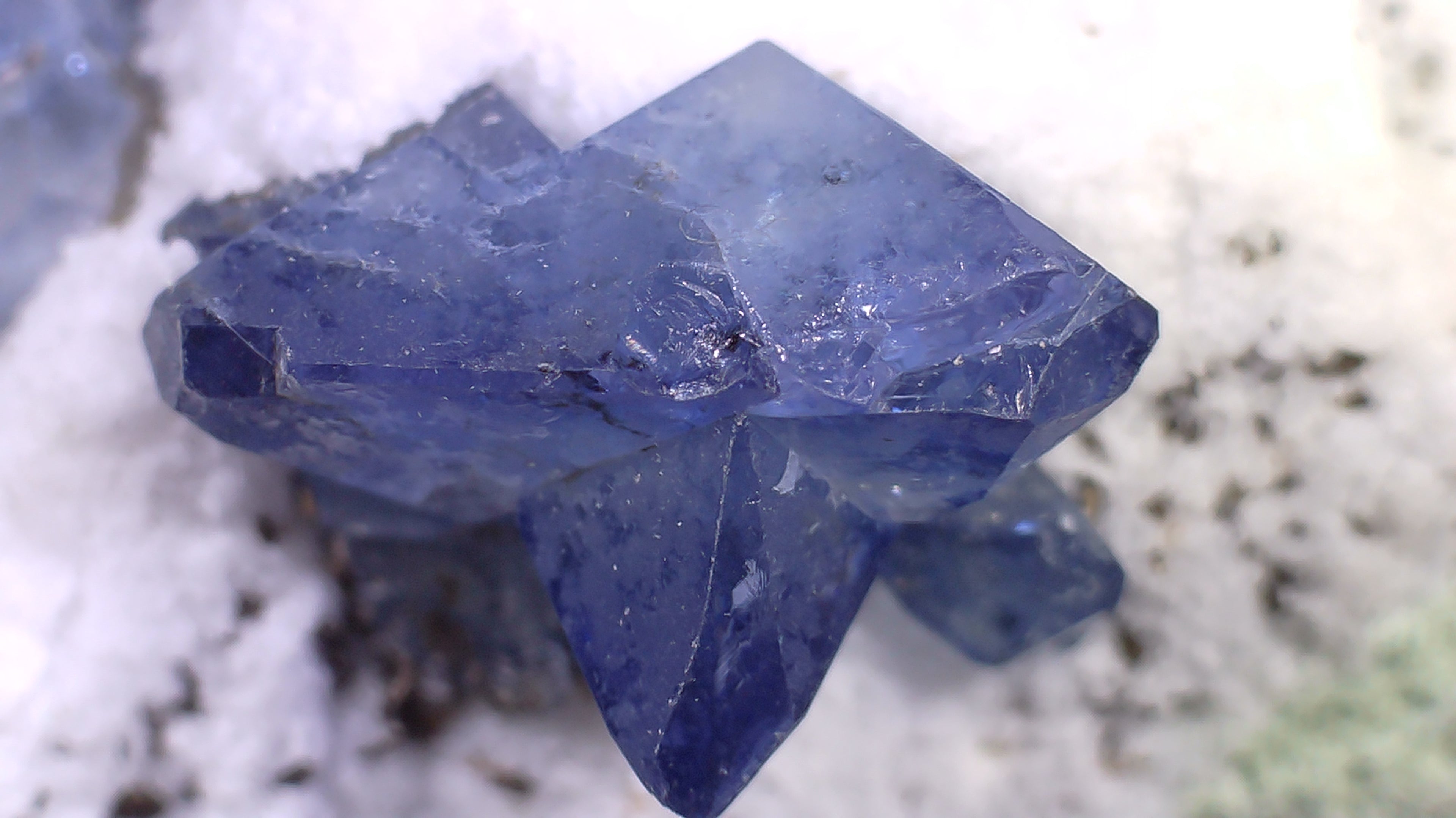 BENITOITE, NEPTUNITE, JOAQUINITE, JONESITE (?) ON NATROLITE with SERPENTINE