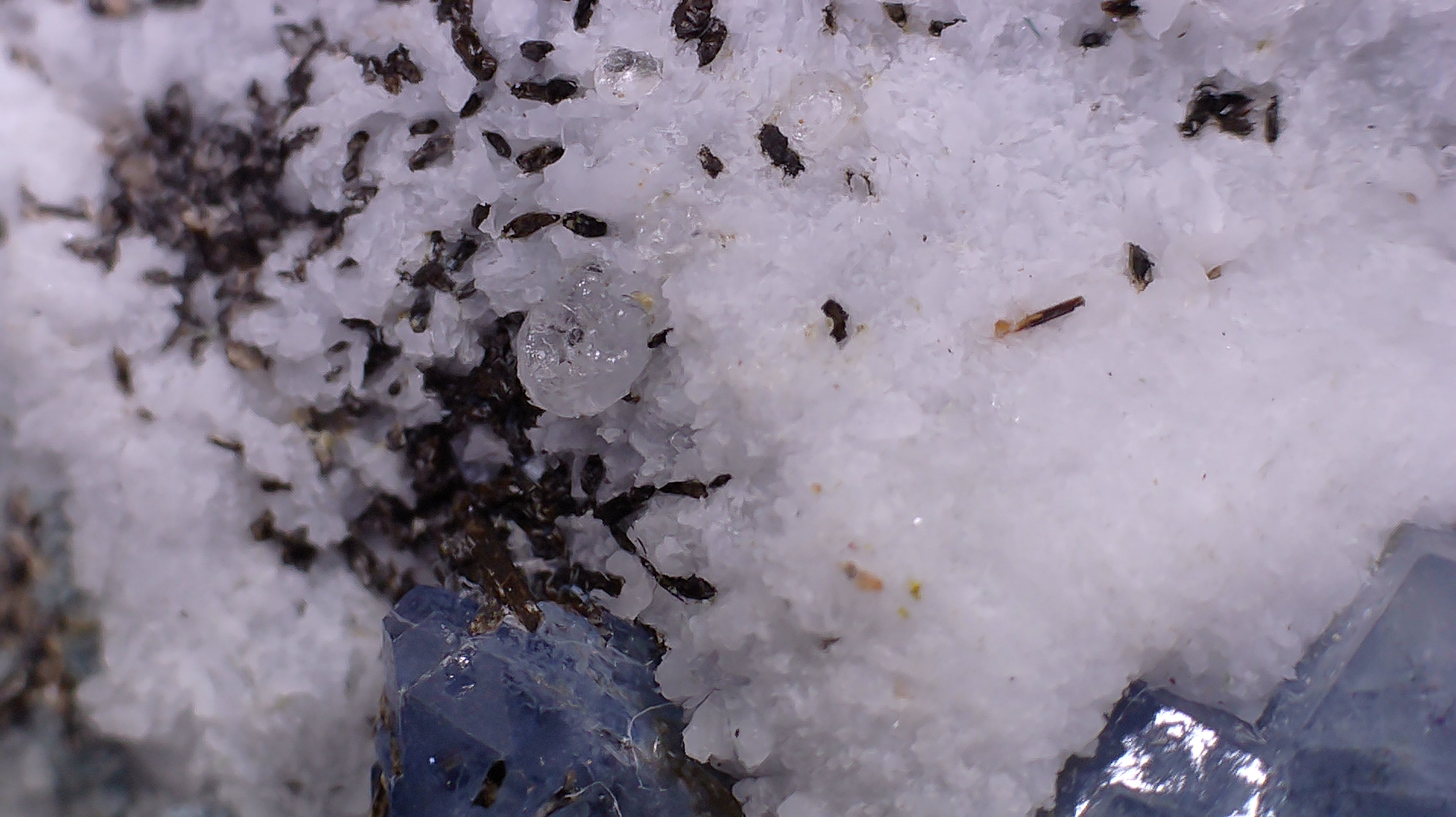 BENITOITE, NEPTUNITE, JOAQUINITE, JONESITE (?) ON NATROLITE with SERPENTINE
