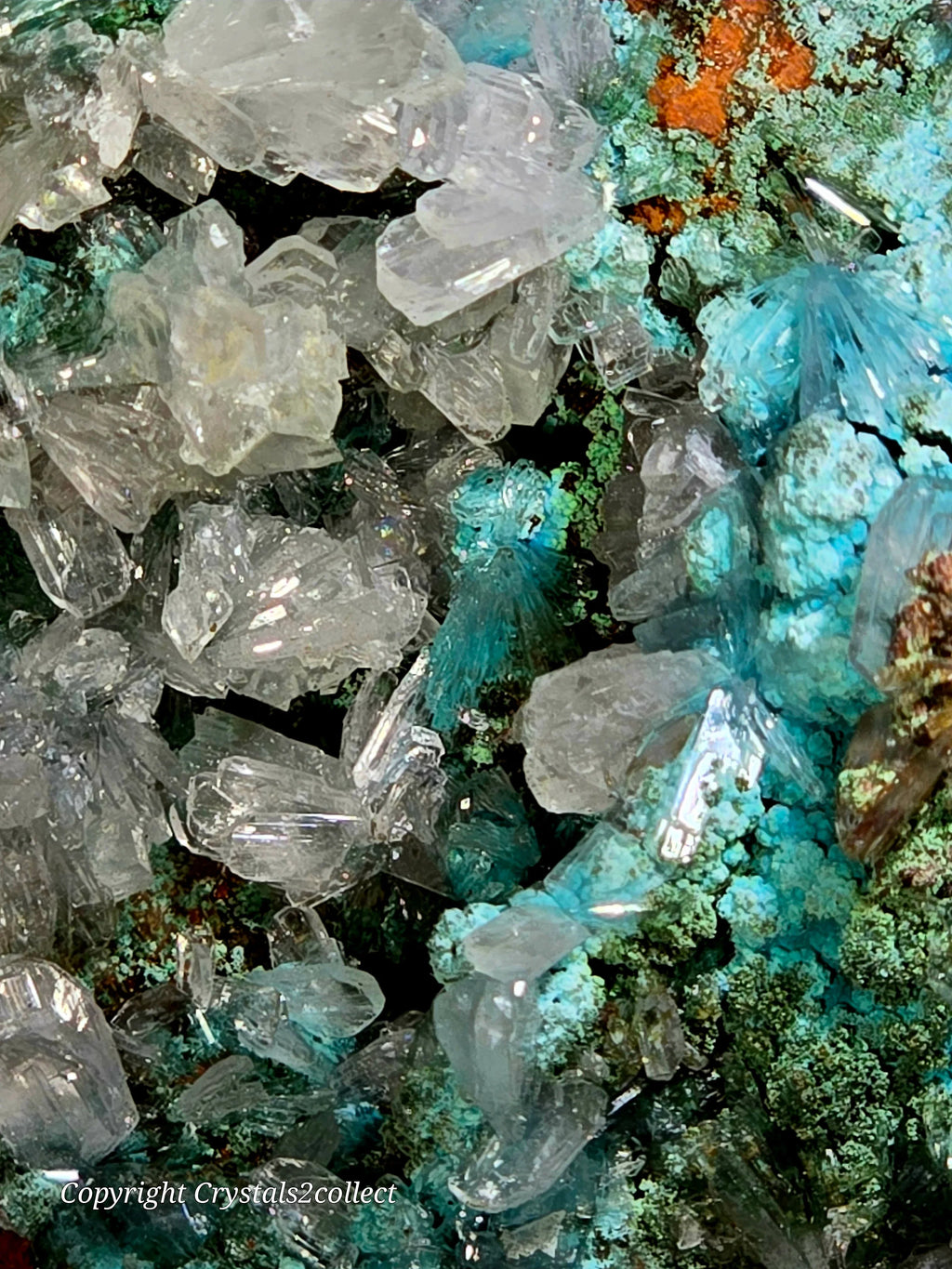 Clear quartz crystals with vibrant blue-green mineral matrix, natural geological specimen