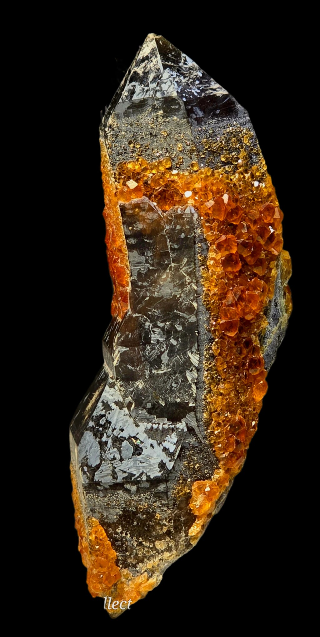 SPESSARTINE  on  SMOKEY QUARTZ, SERPENTINE GARNETS (small cabinet)