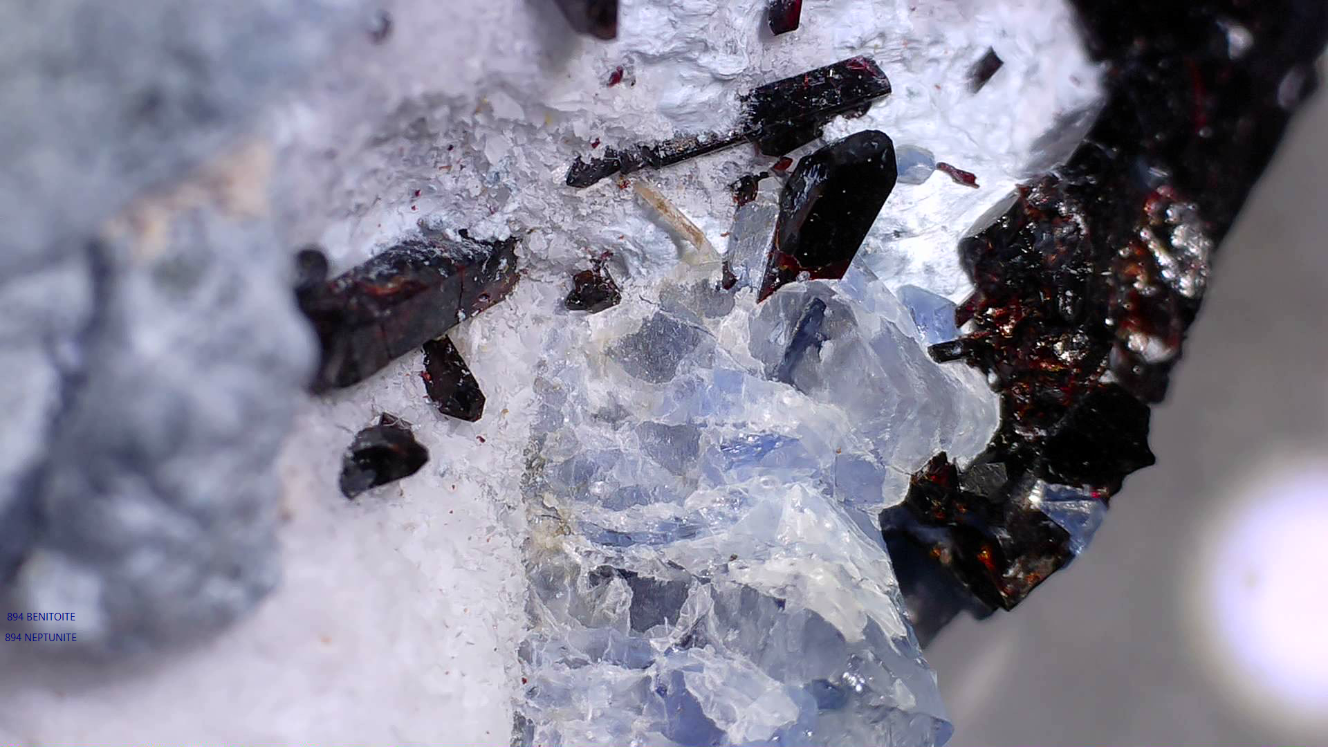 BENITOITE with NEPTUNITE, JOAQUINTE on NATROLITE and SERPENTINE