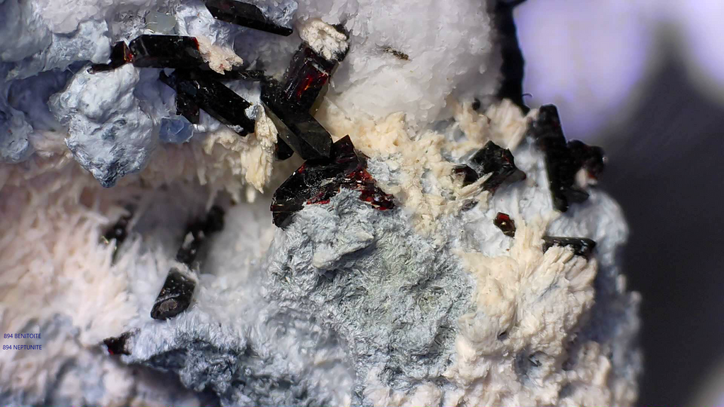 BENITOITE with NEPTUNITE, JOAQUINTE on NATROLITE and SERPENTINE