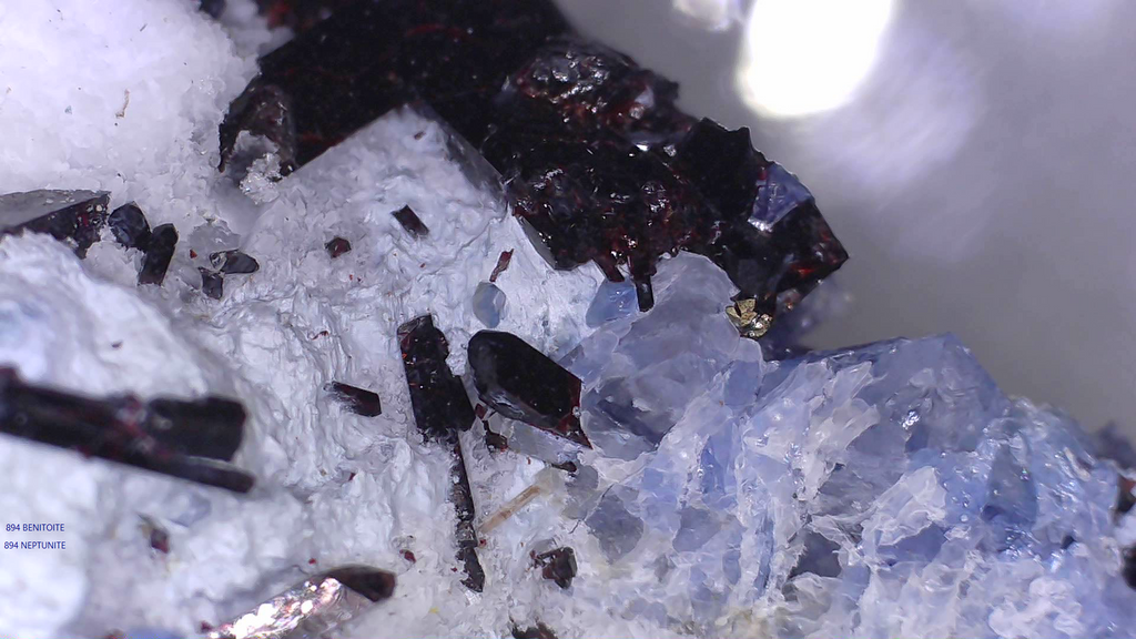 BENITOITE with NEPTUNITE, JOAQUINTE on NATROLITE and SERPENTINE