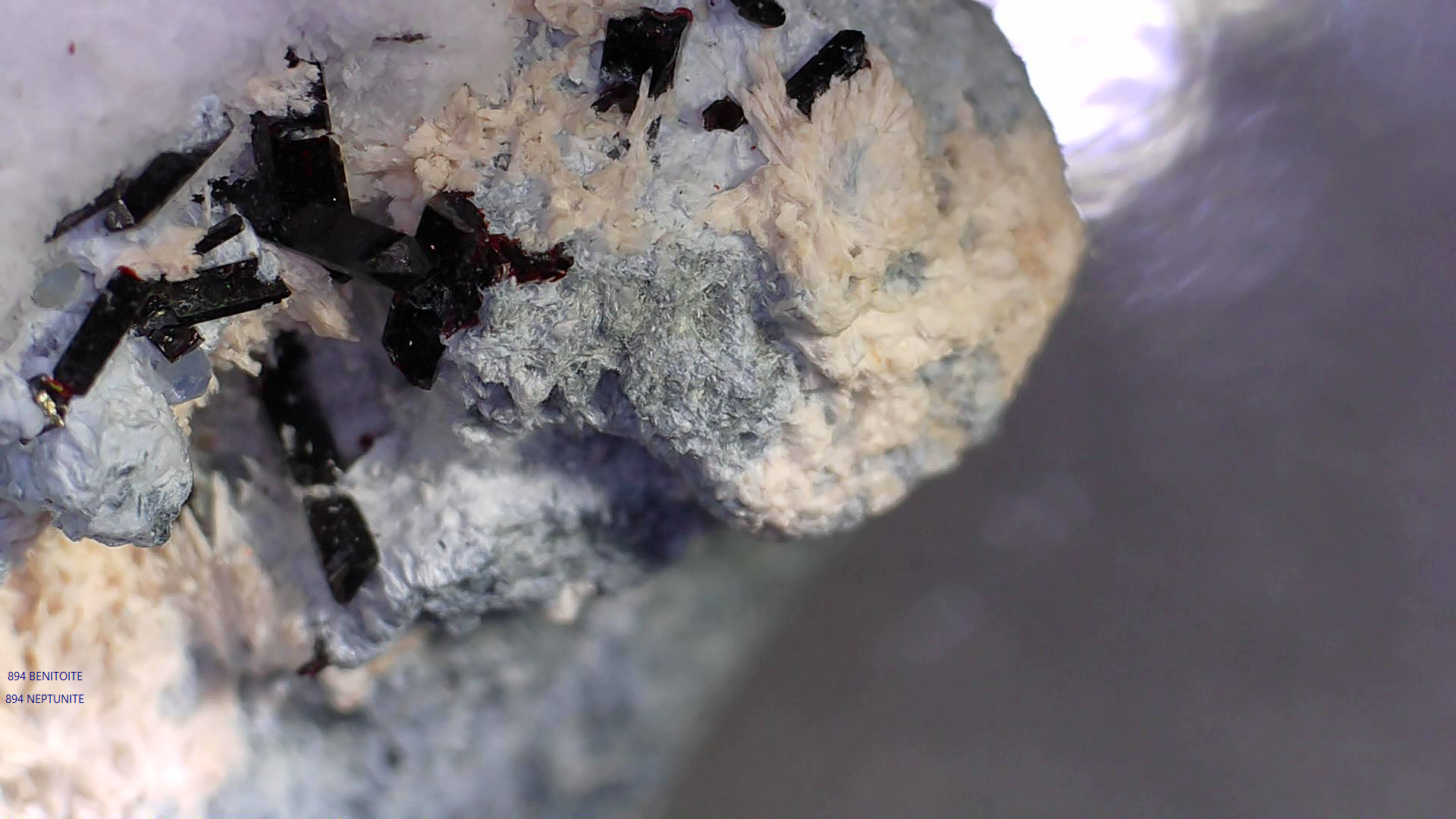 BENITOITE with NEPTUNITE, JOAQUINTE on NATROLITE and SERPENTINE