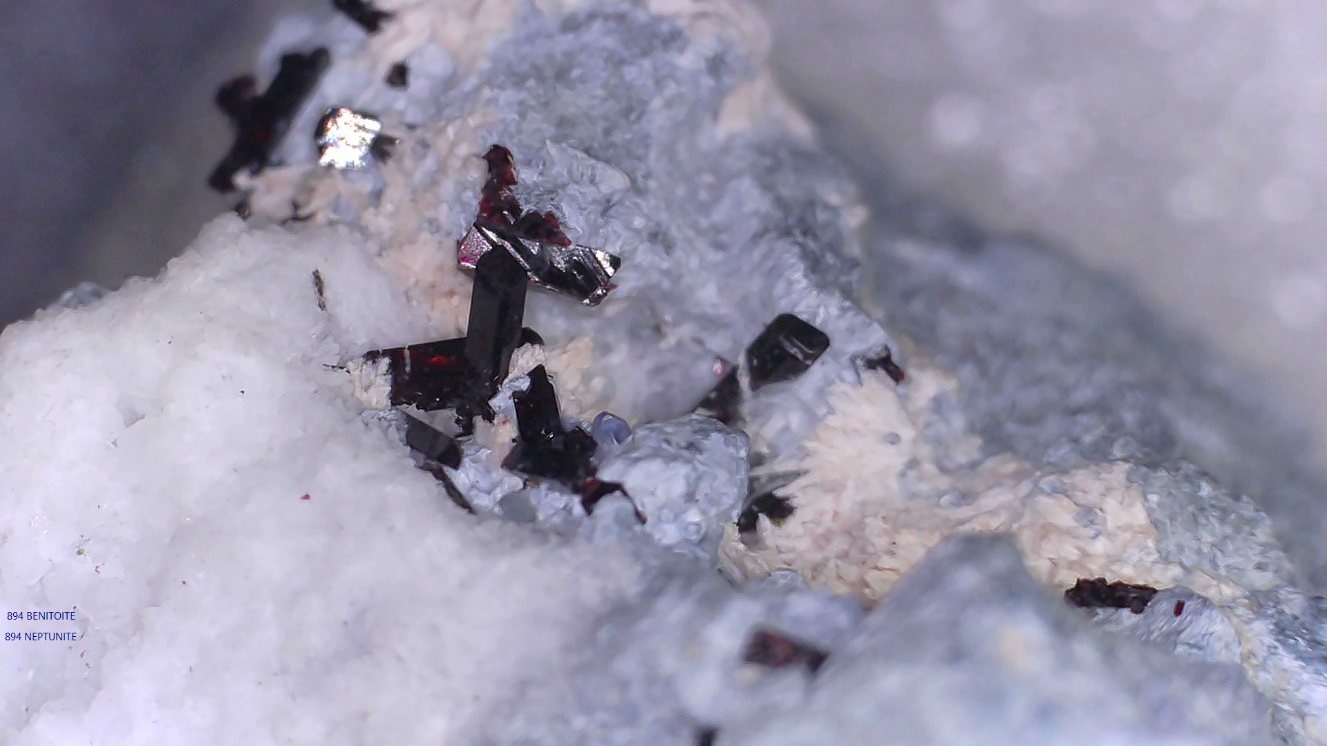 BENITOITE with NEPTUNITE, JOAQUINTE on NATROLITE and SERPENTINE