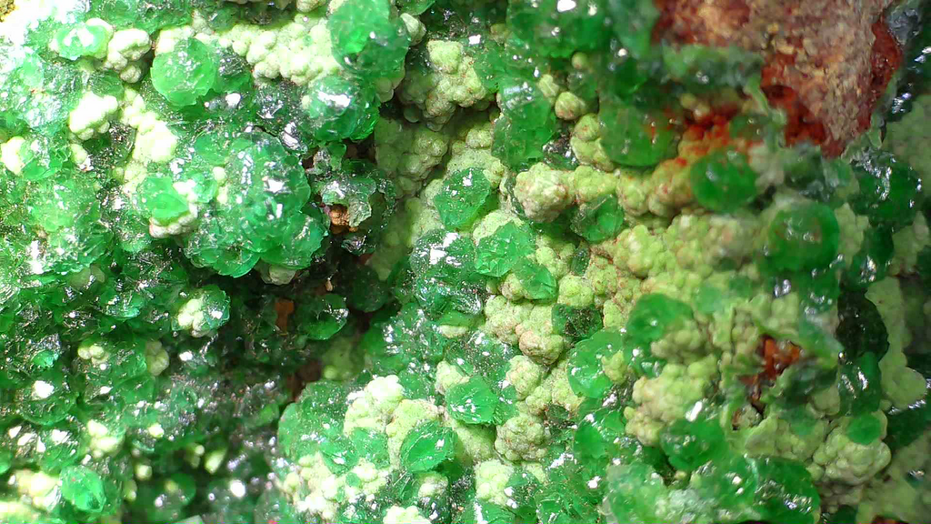 CONICHALCITE WITH GREEN CALCITE (small cabinet)