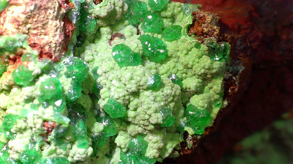 CONICHALCITE WITH GREEN CALCITE (small cabinet)