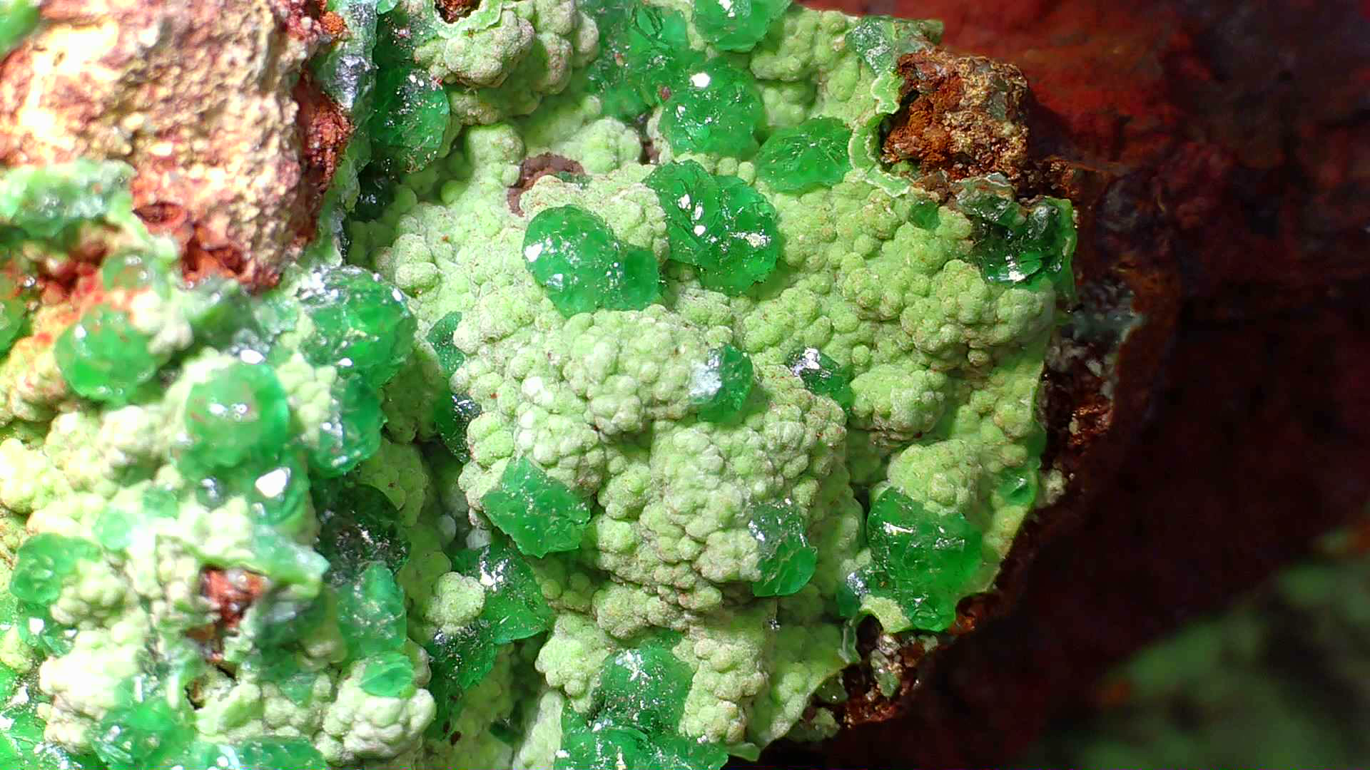 CONICHALCITE WITH GREEN CALCITE (small cabinet)