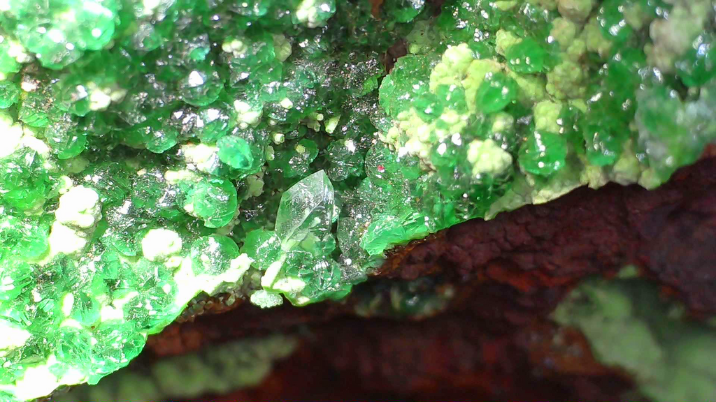 CONICHALCITE WITH GREEN CALCITE (small cabinet)