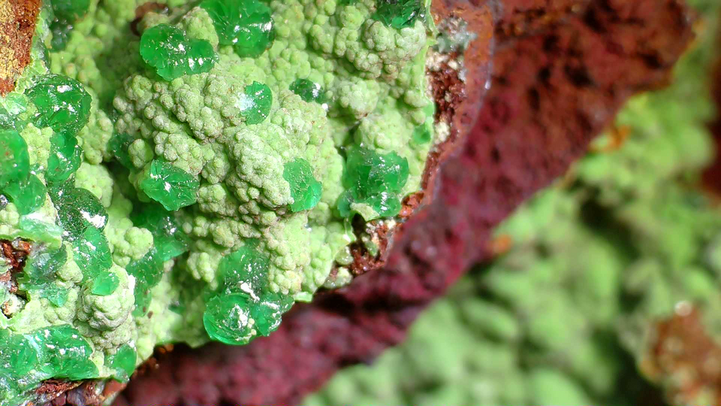 CONICHALCITE WITH GREEN CALCITE (small cabinet)