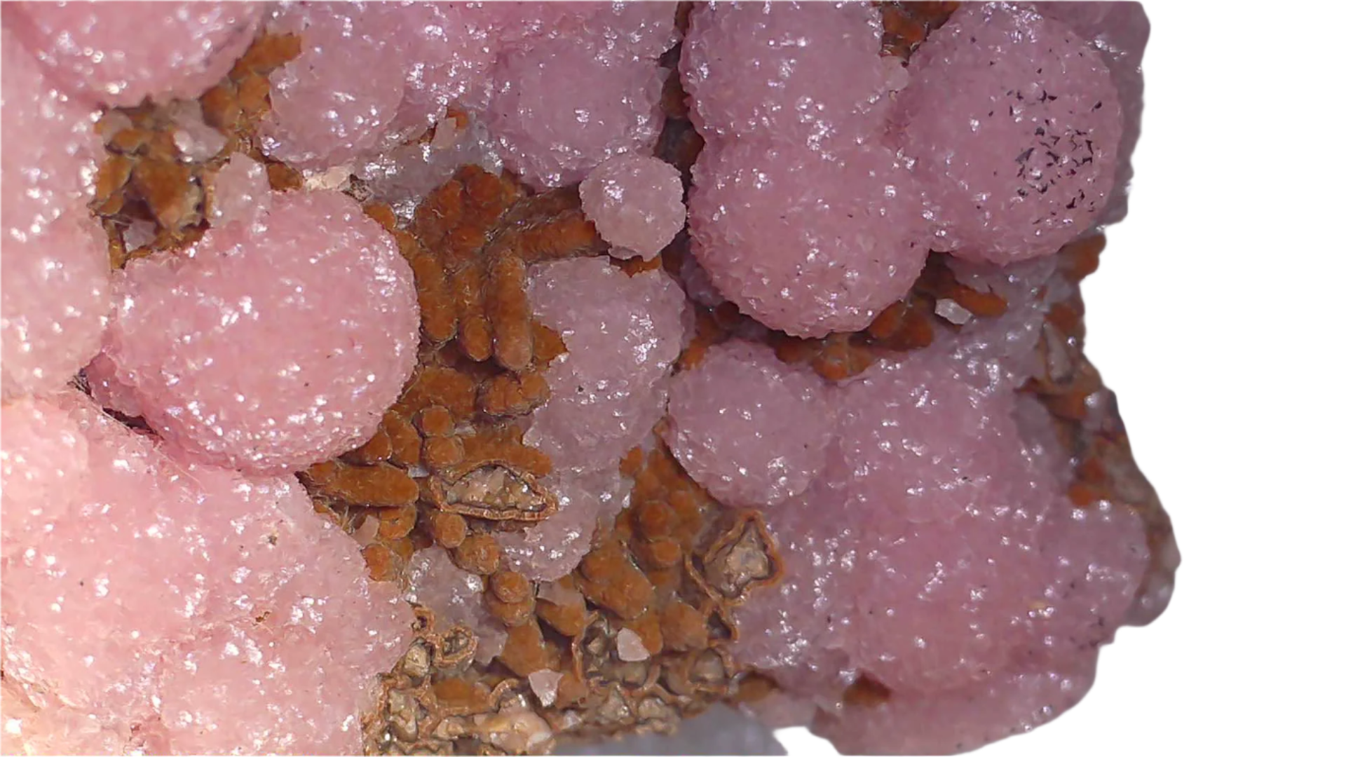 SMITHSONITE PINK (COBALTOAN) with CORONADITE (miniature)